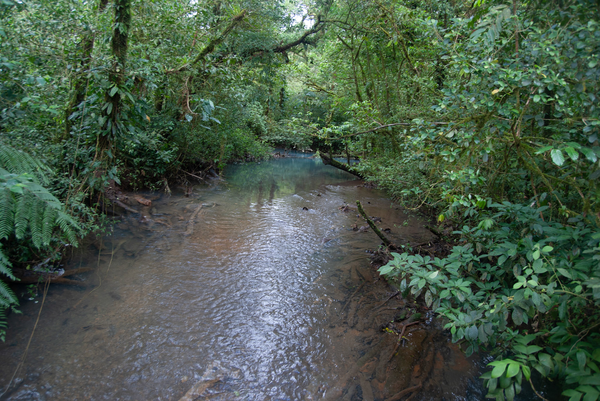 SONY DSC