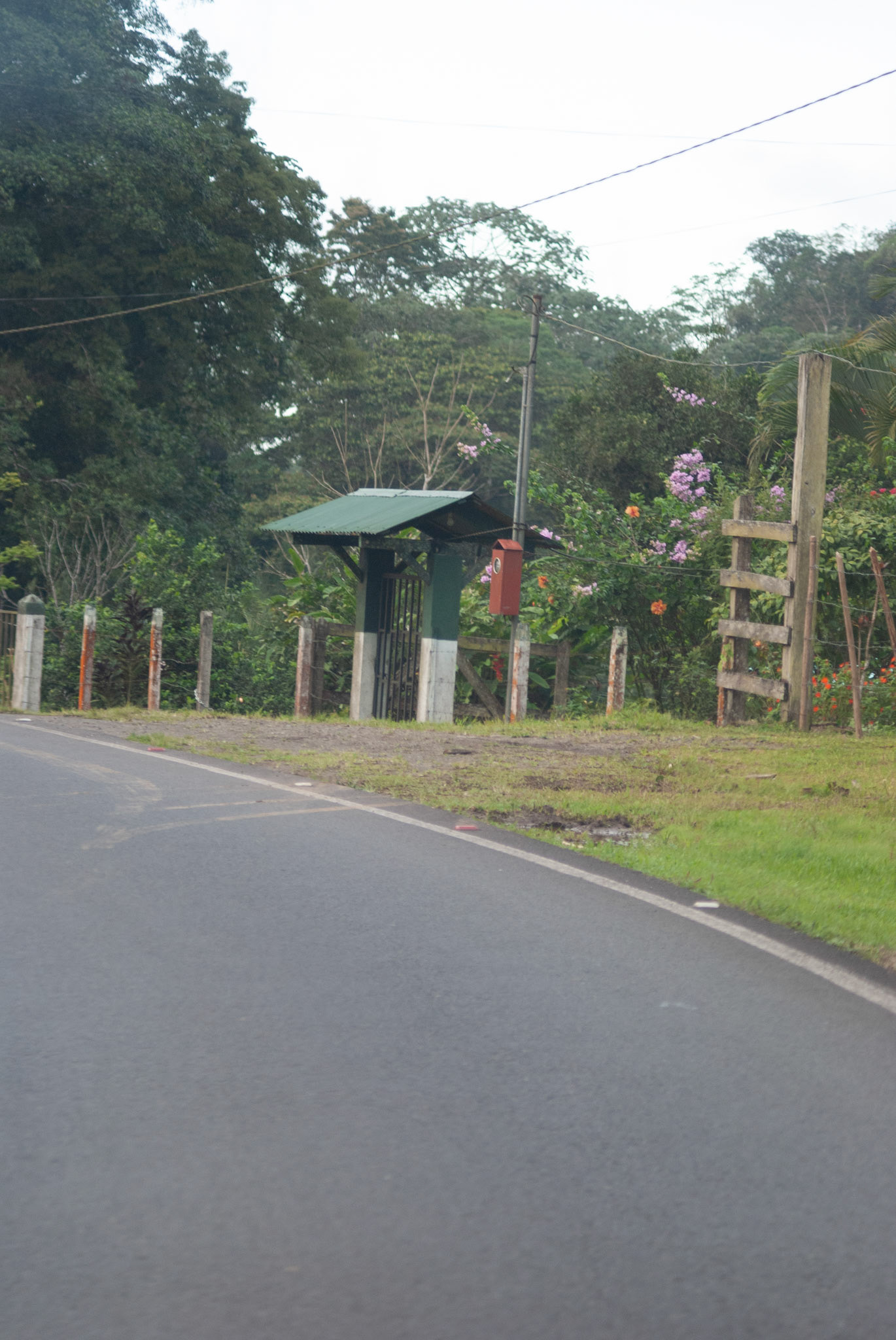 SONY DSC