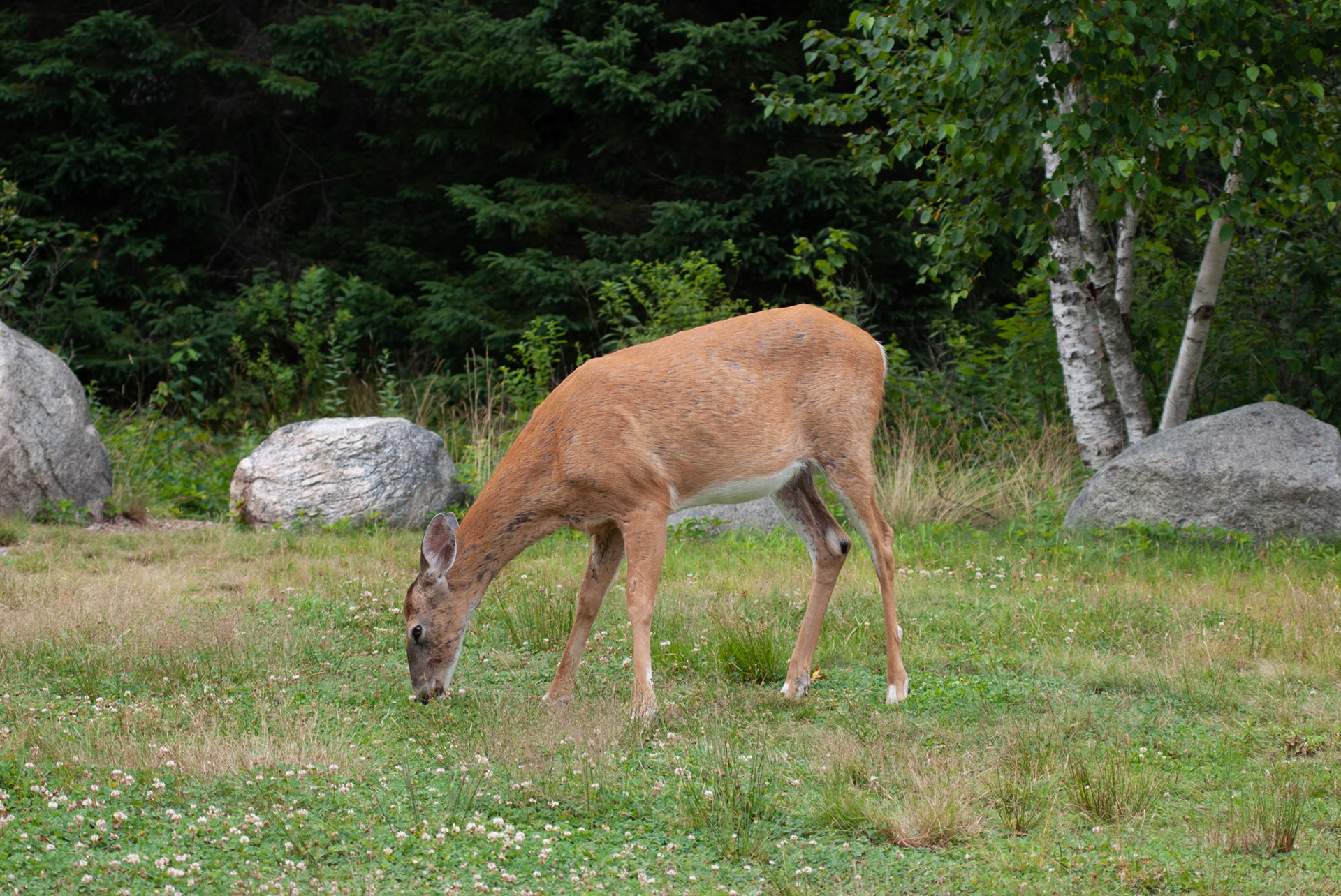 SONY DSC