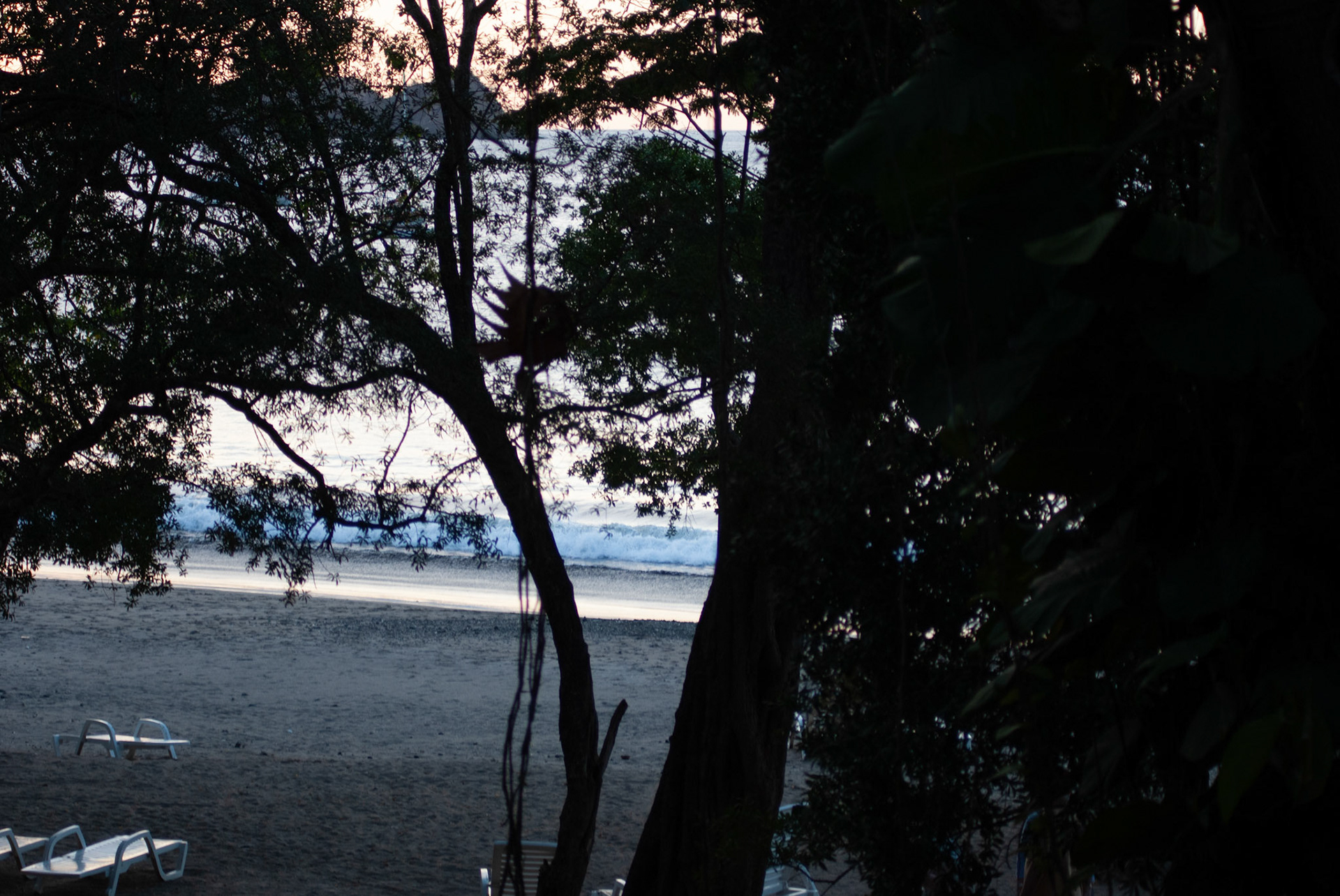 SONY DSC