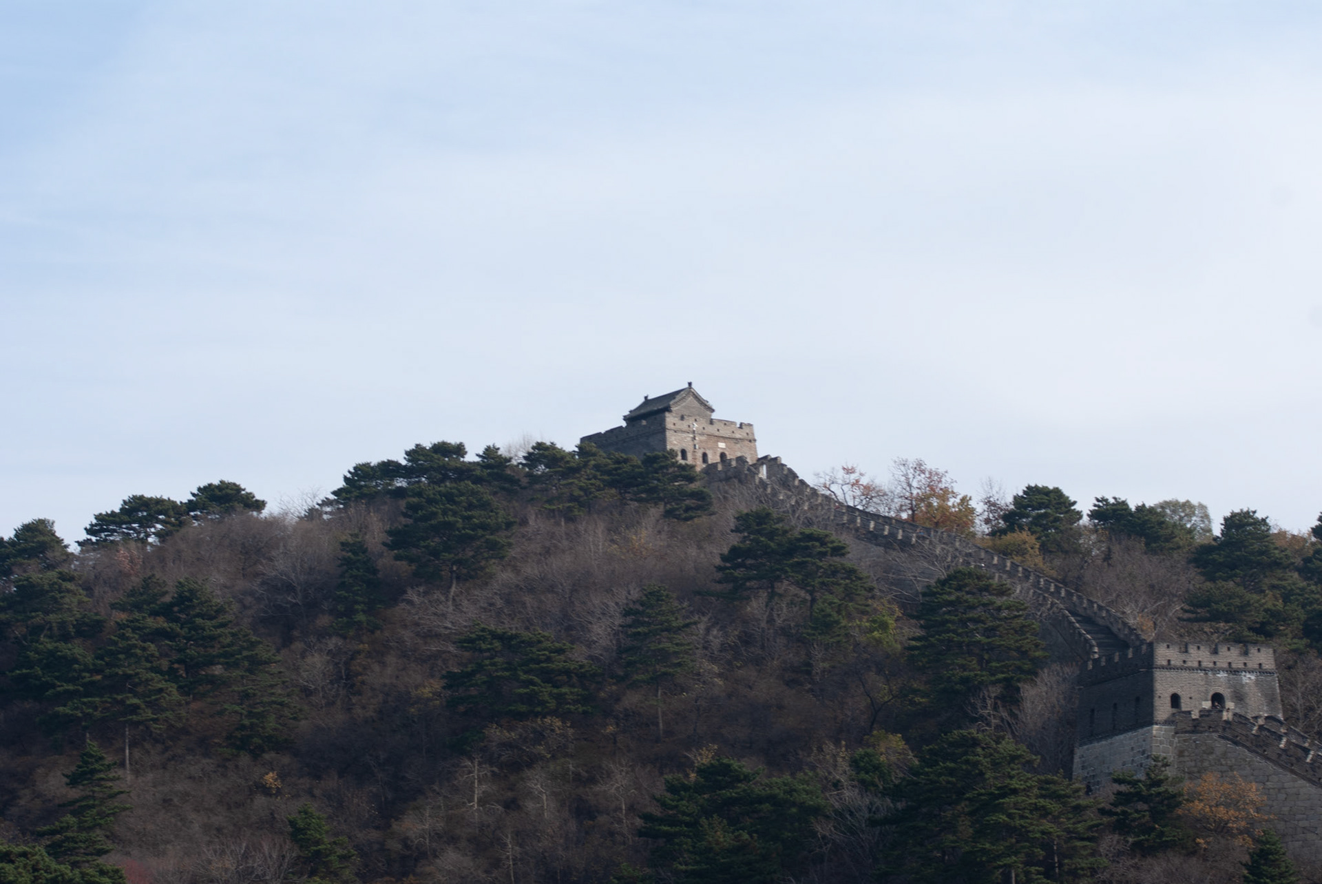 SONY DSC