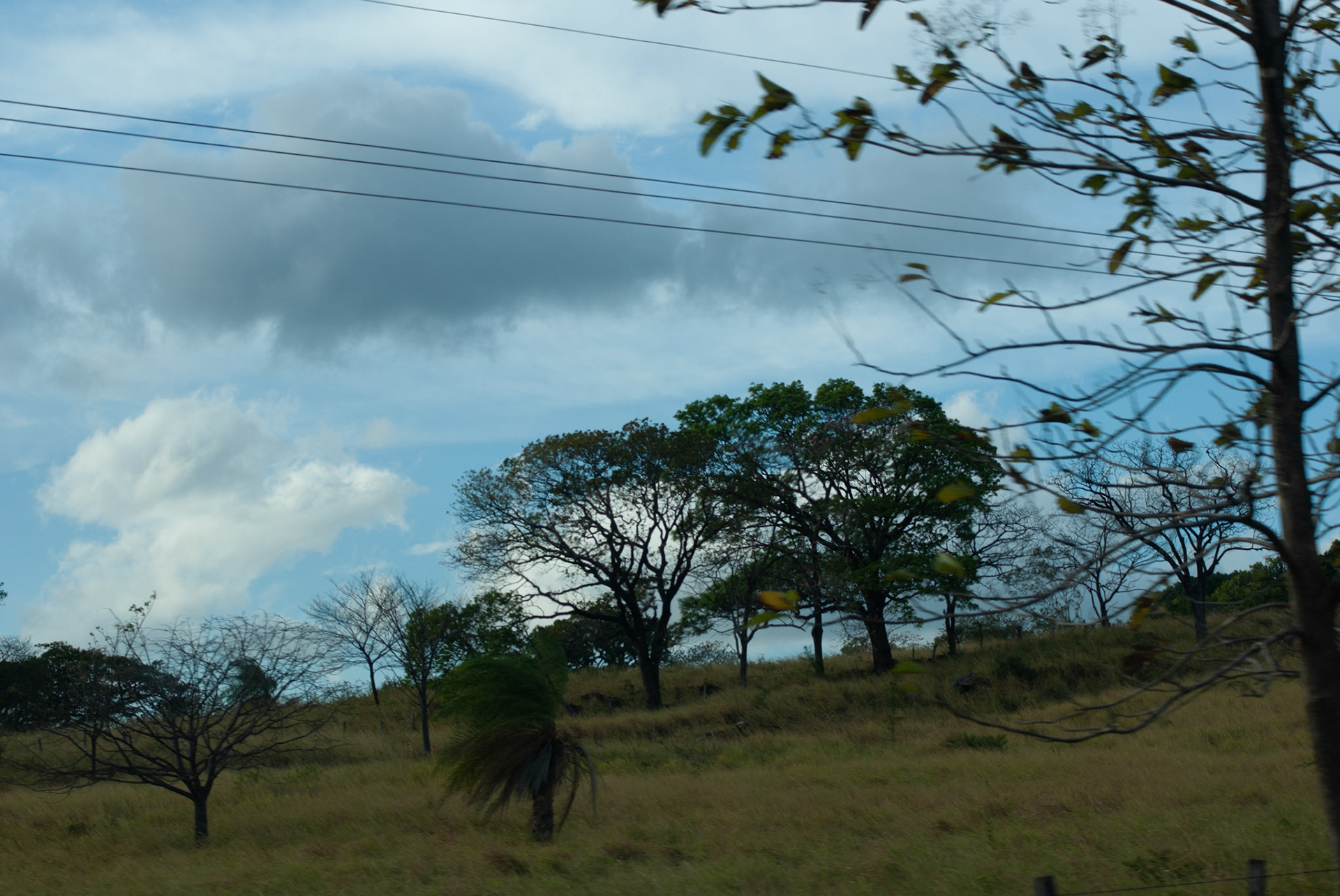 SONY DSC