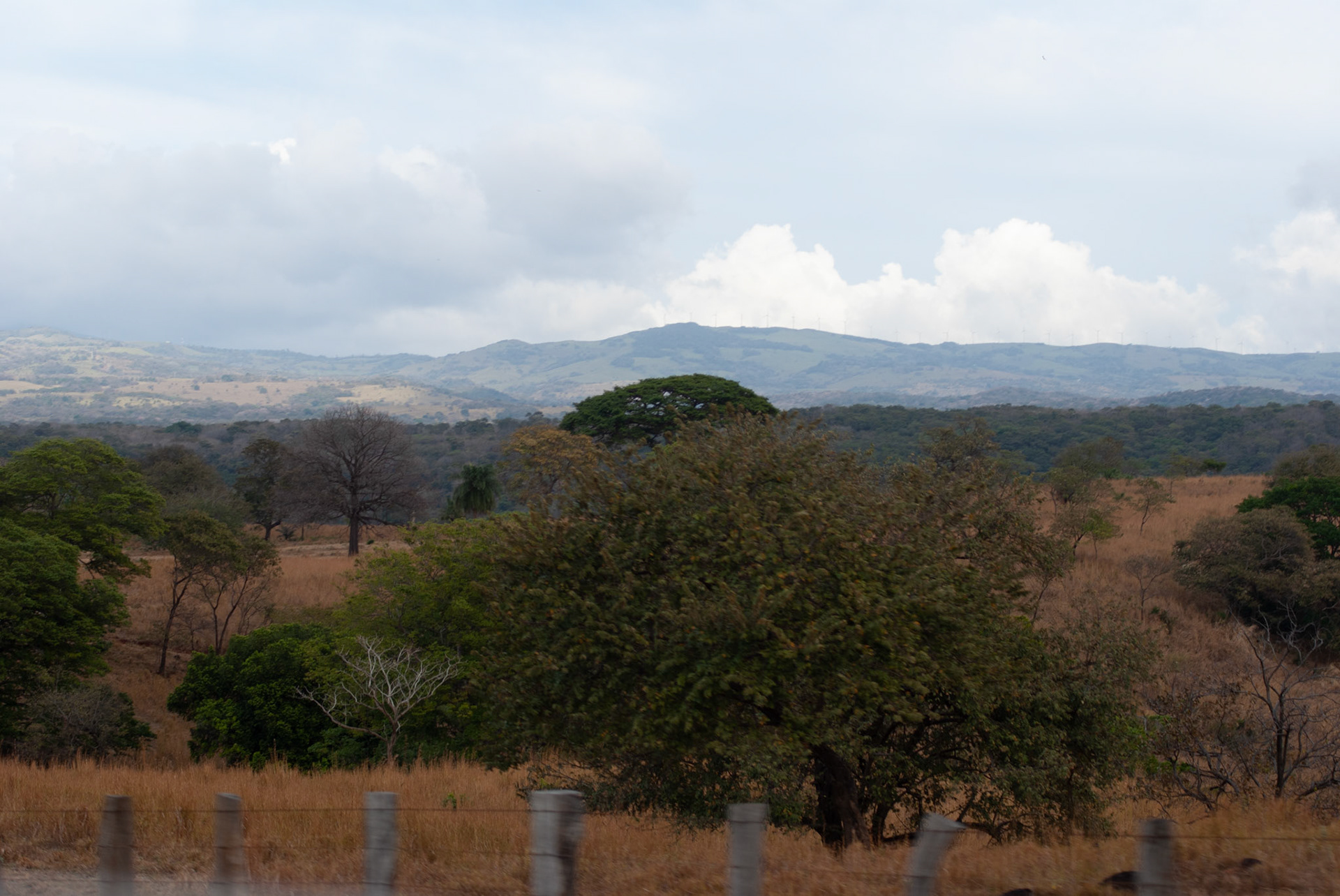 SONY DSC