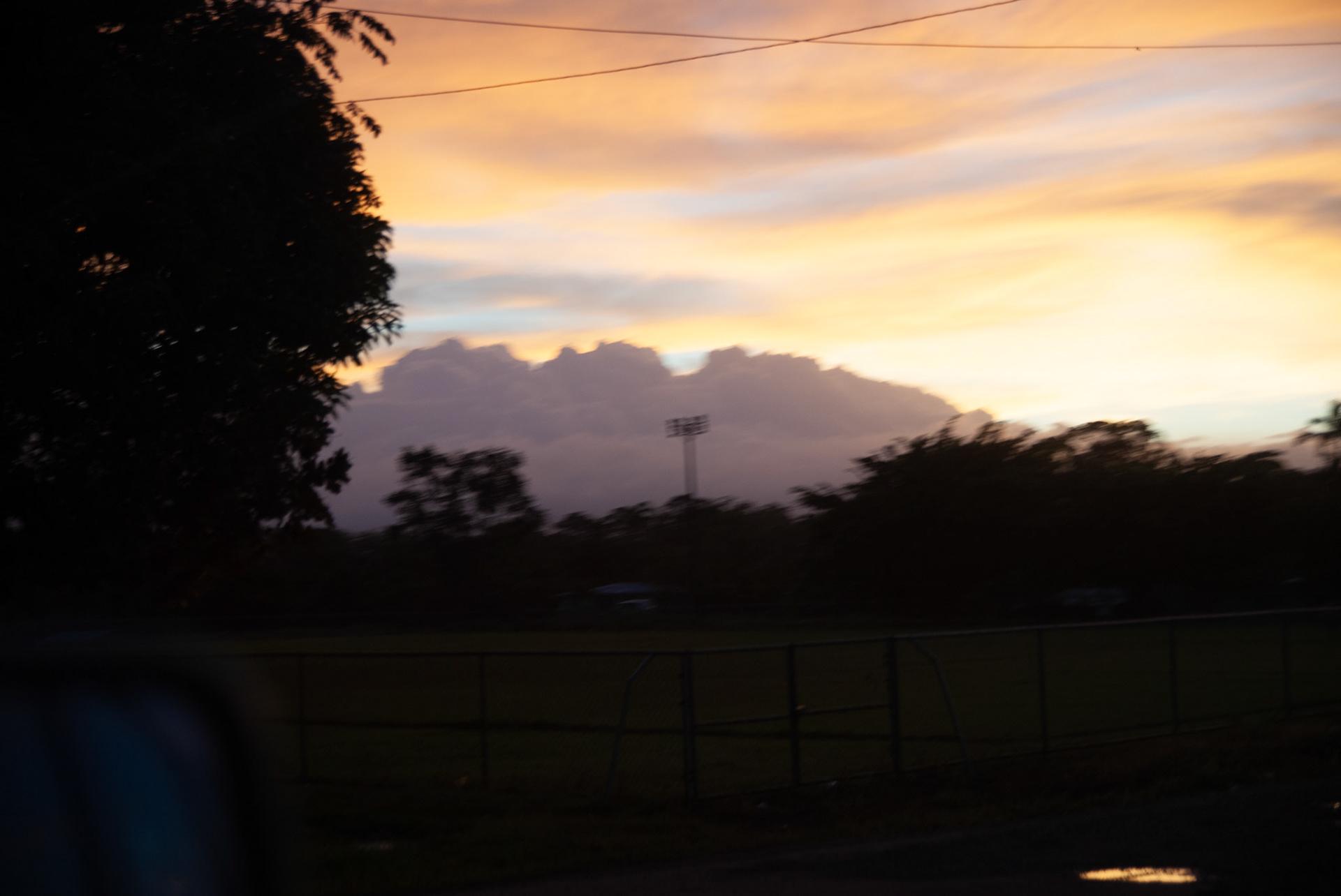 SONY DSC