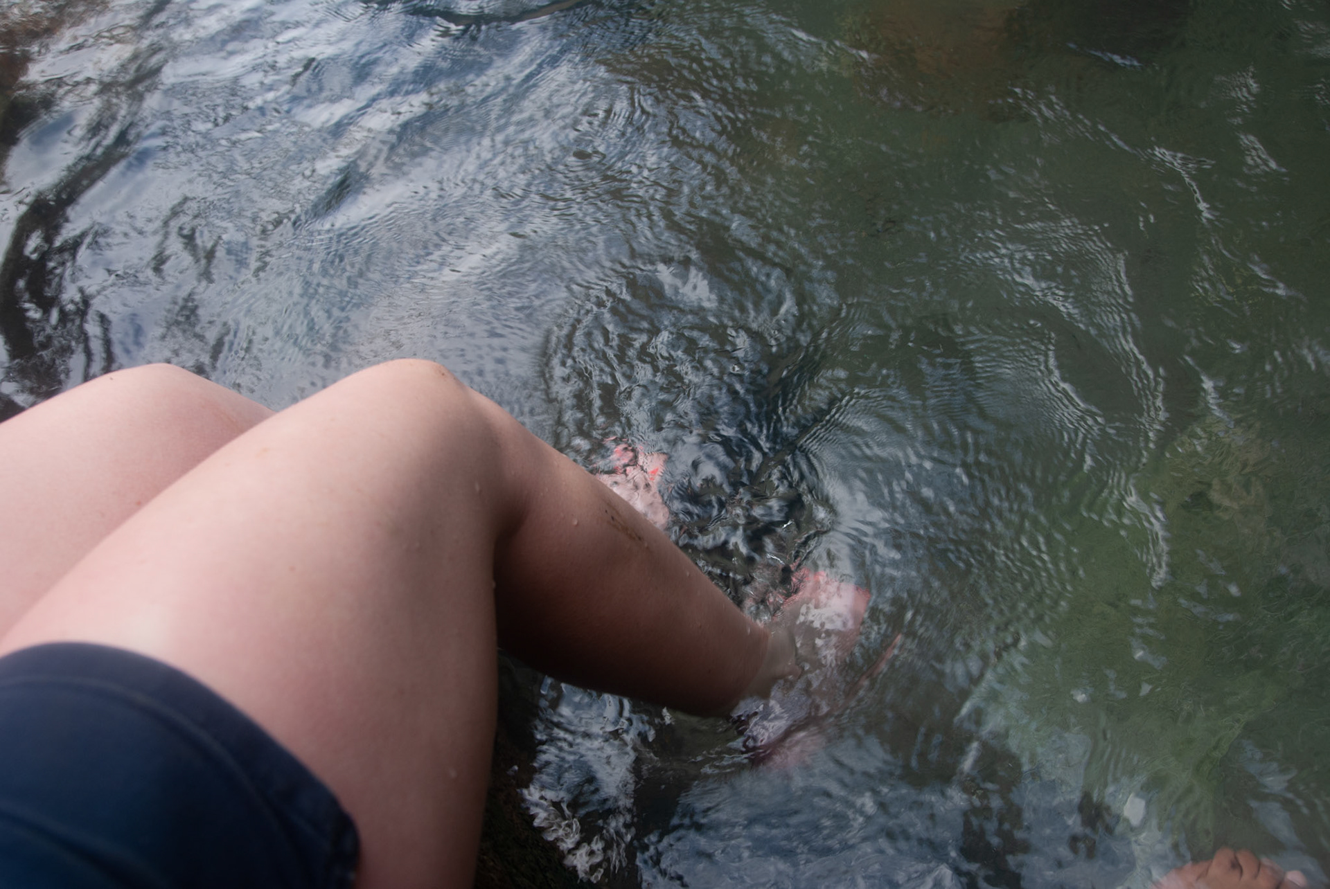 SONY DSC