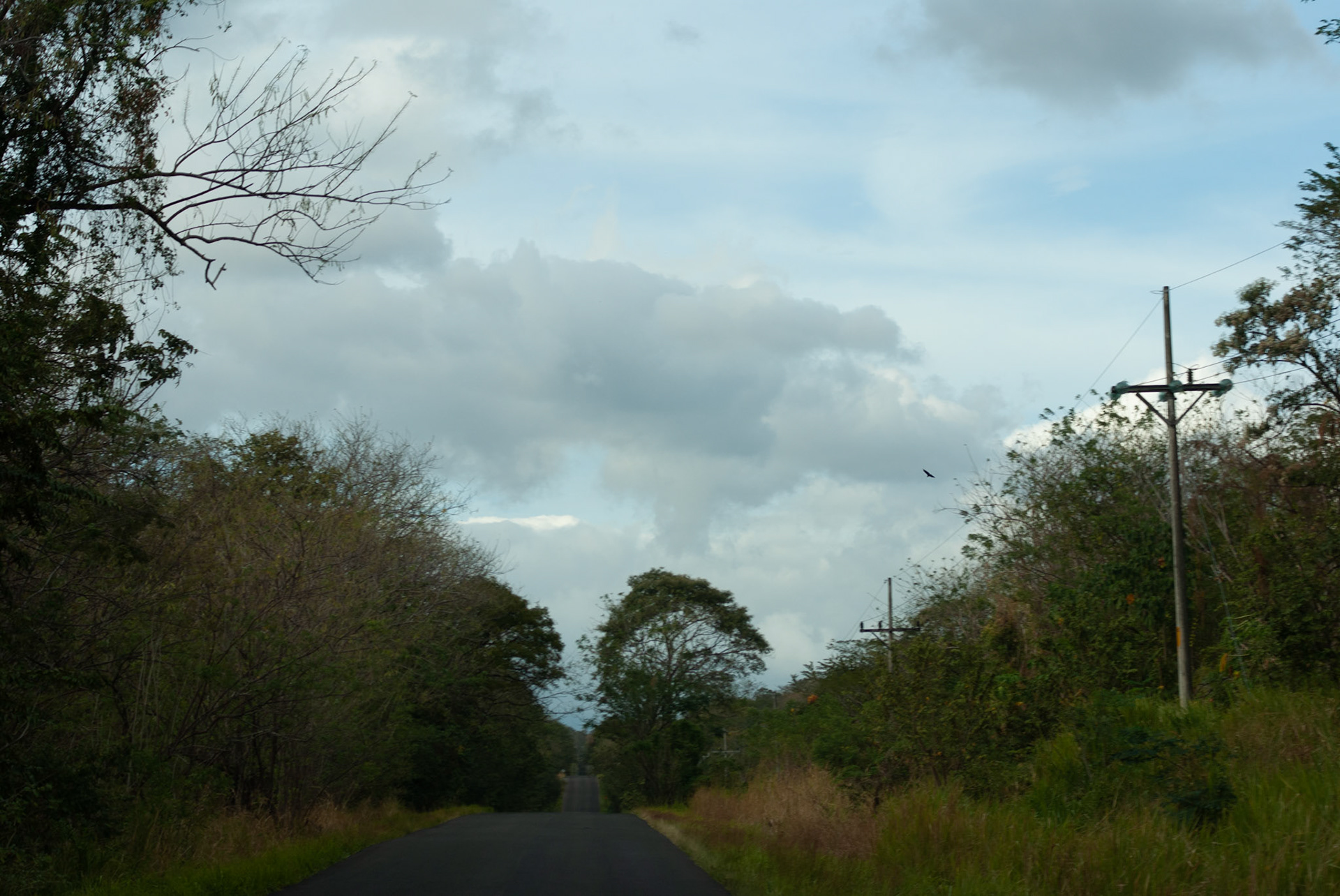 SONY DSC