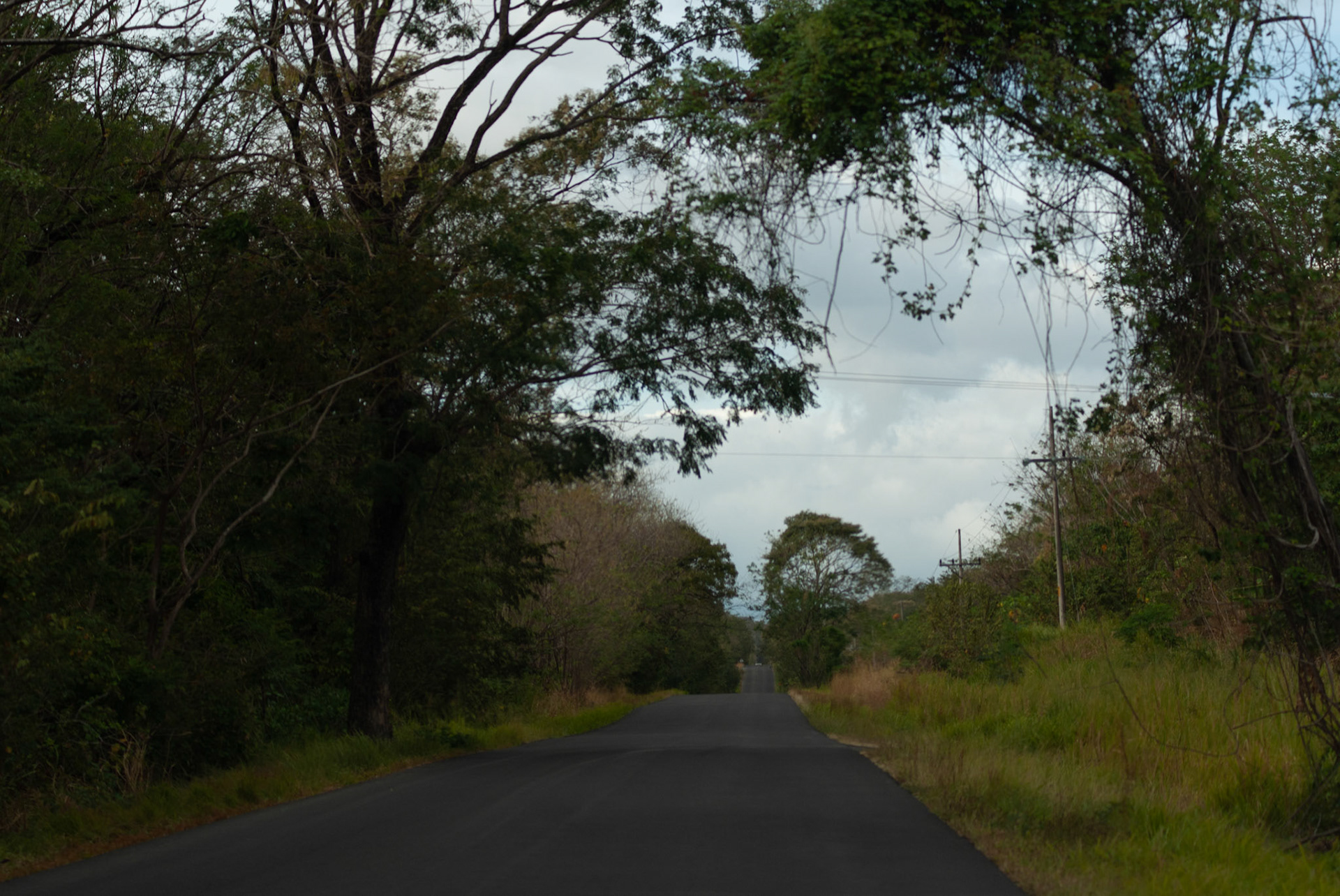 SONY DSC