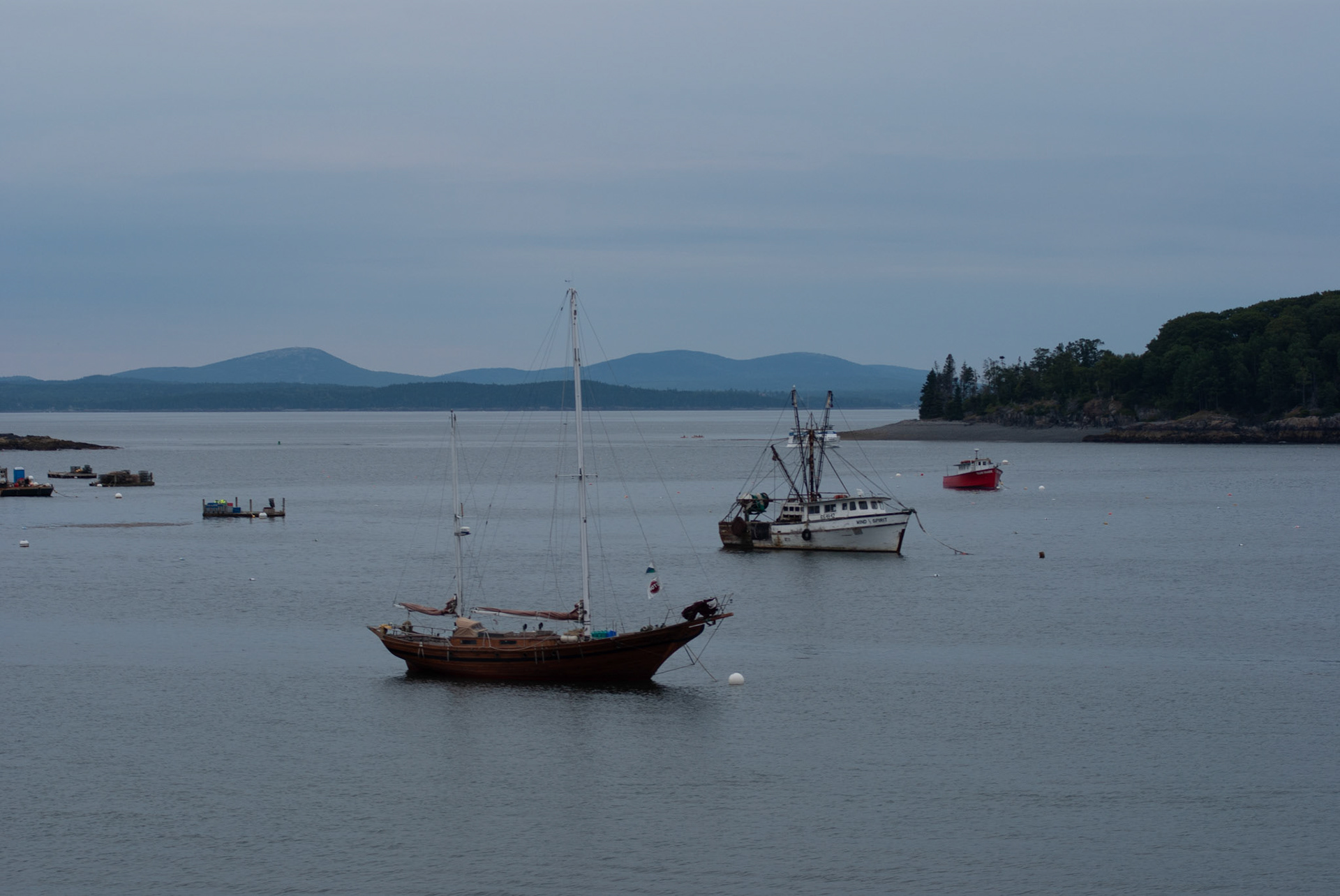 SONY DSC