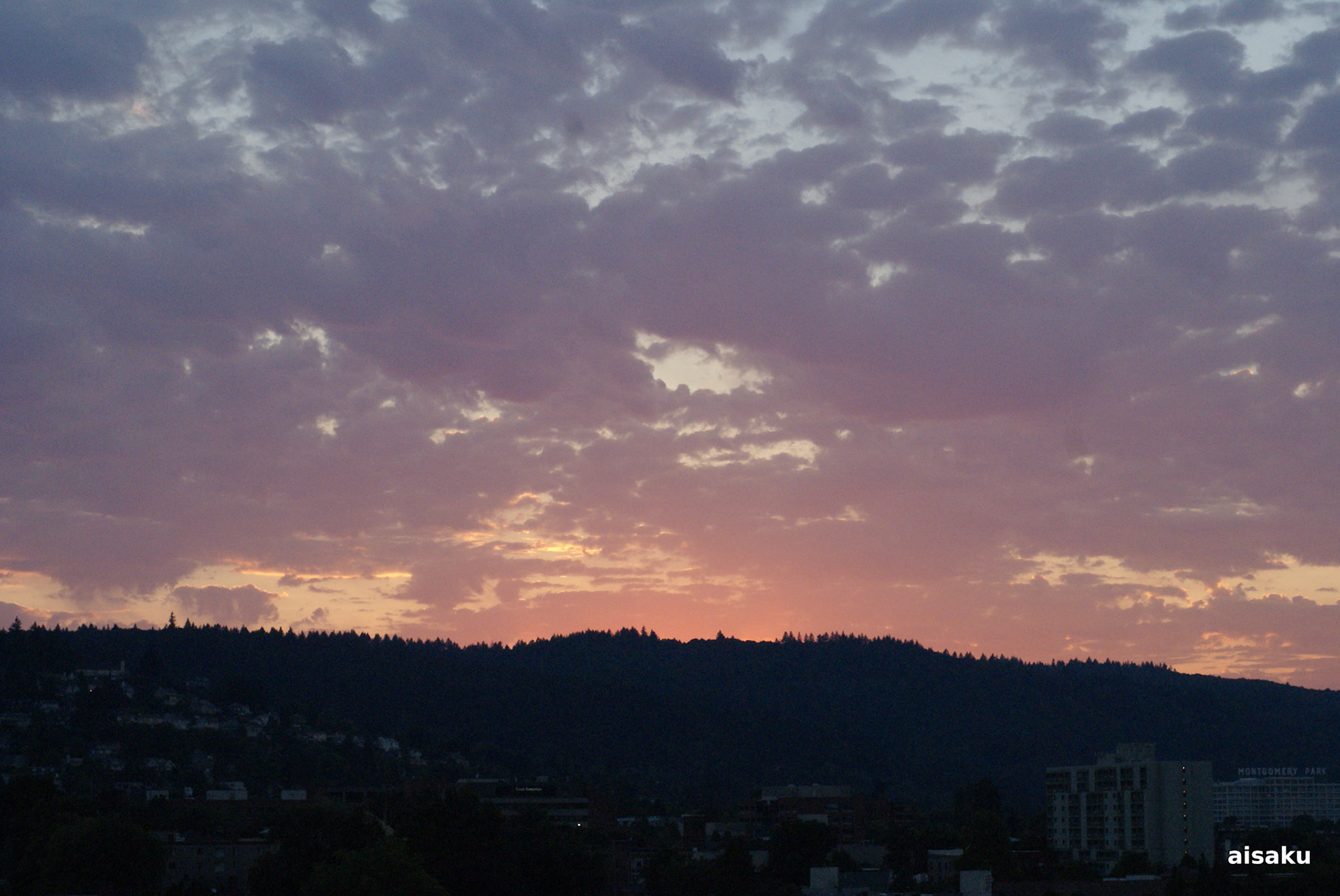 SONY DSC
