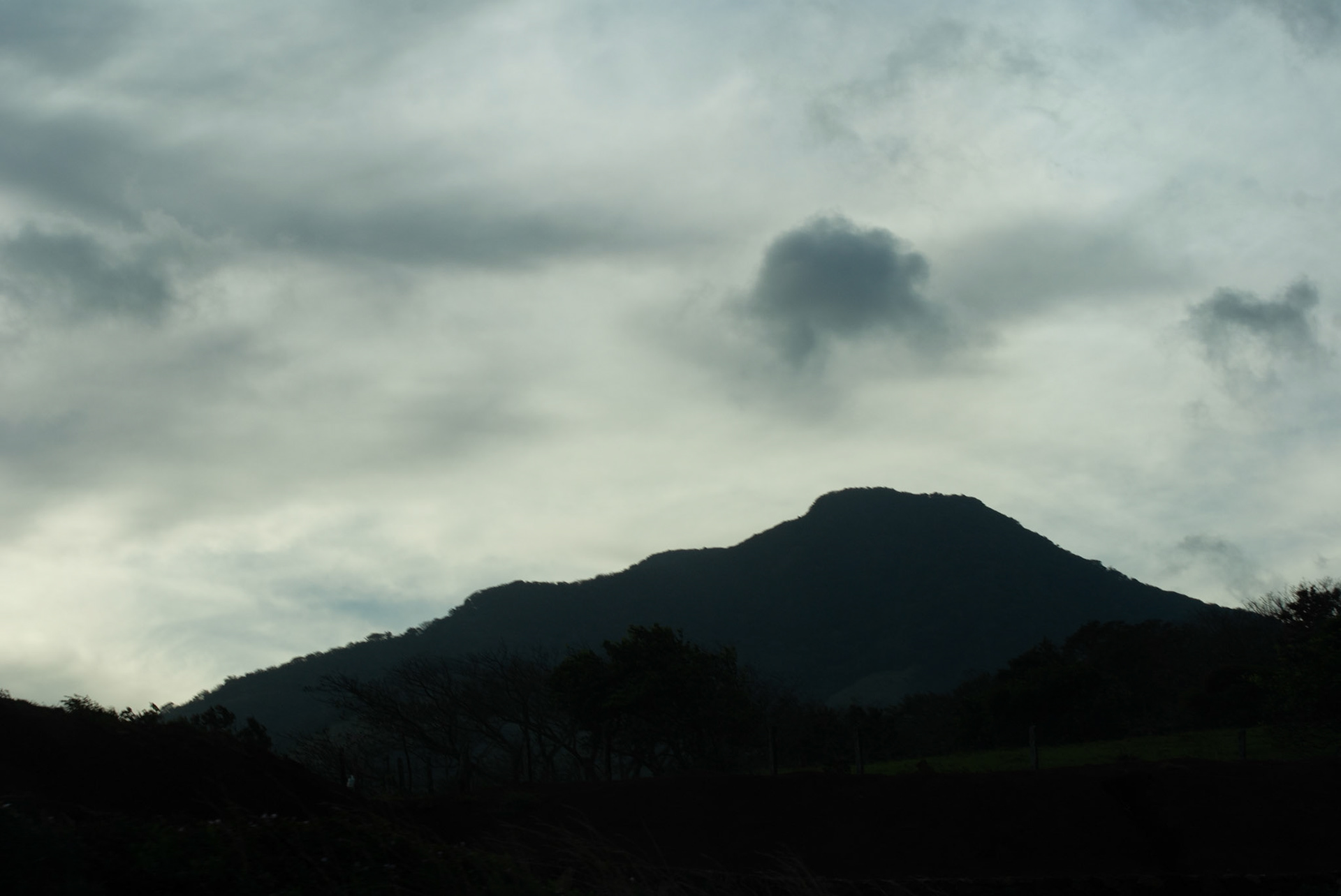 SONY DSC
