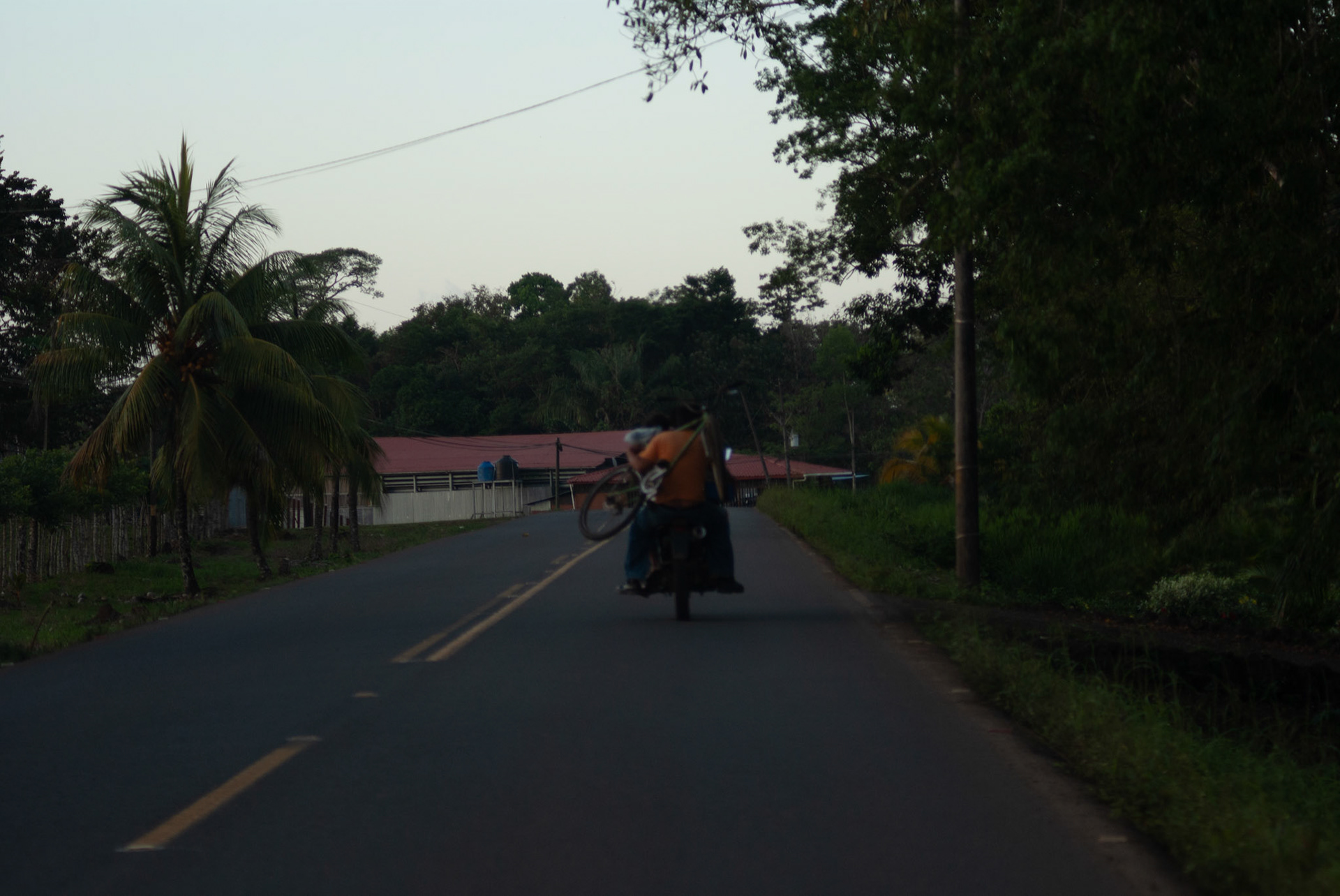 SONY DSC
