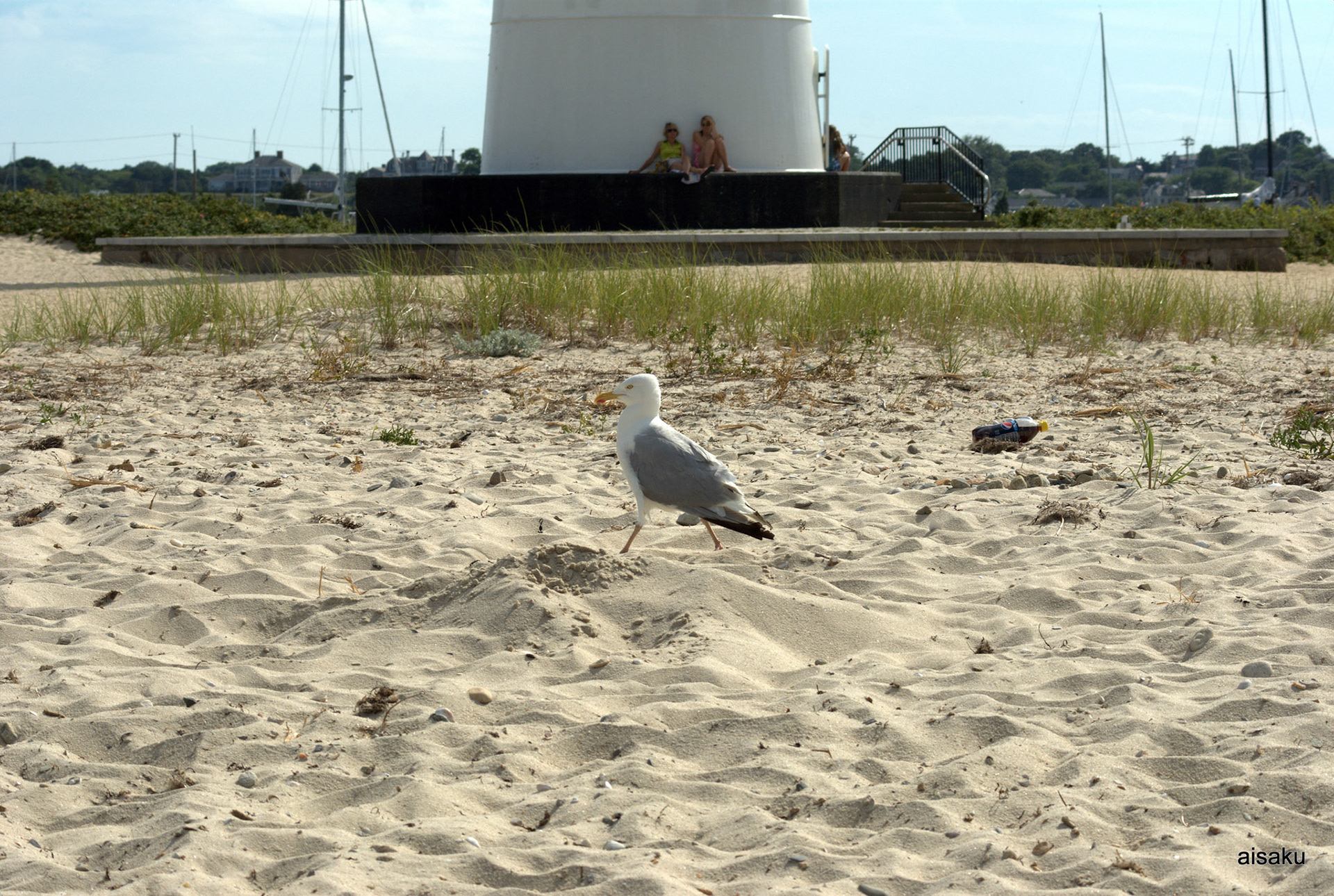 SONY DSC