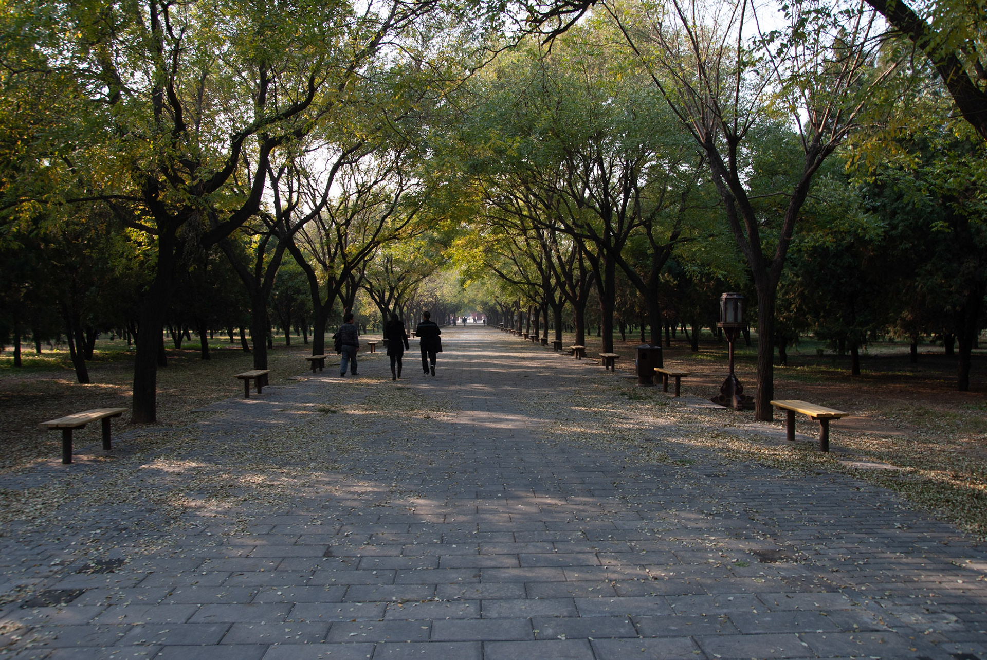 SONY DSC