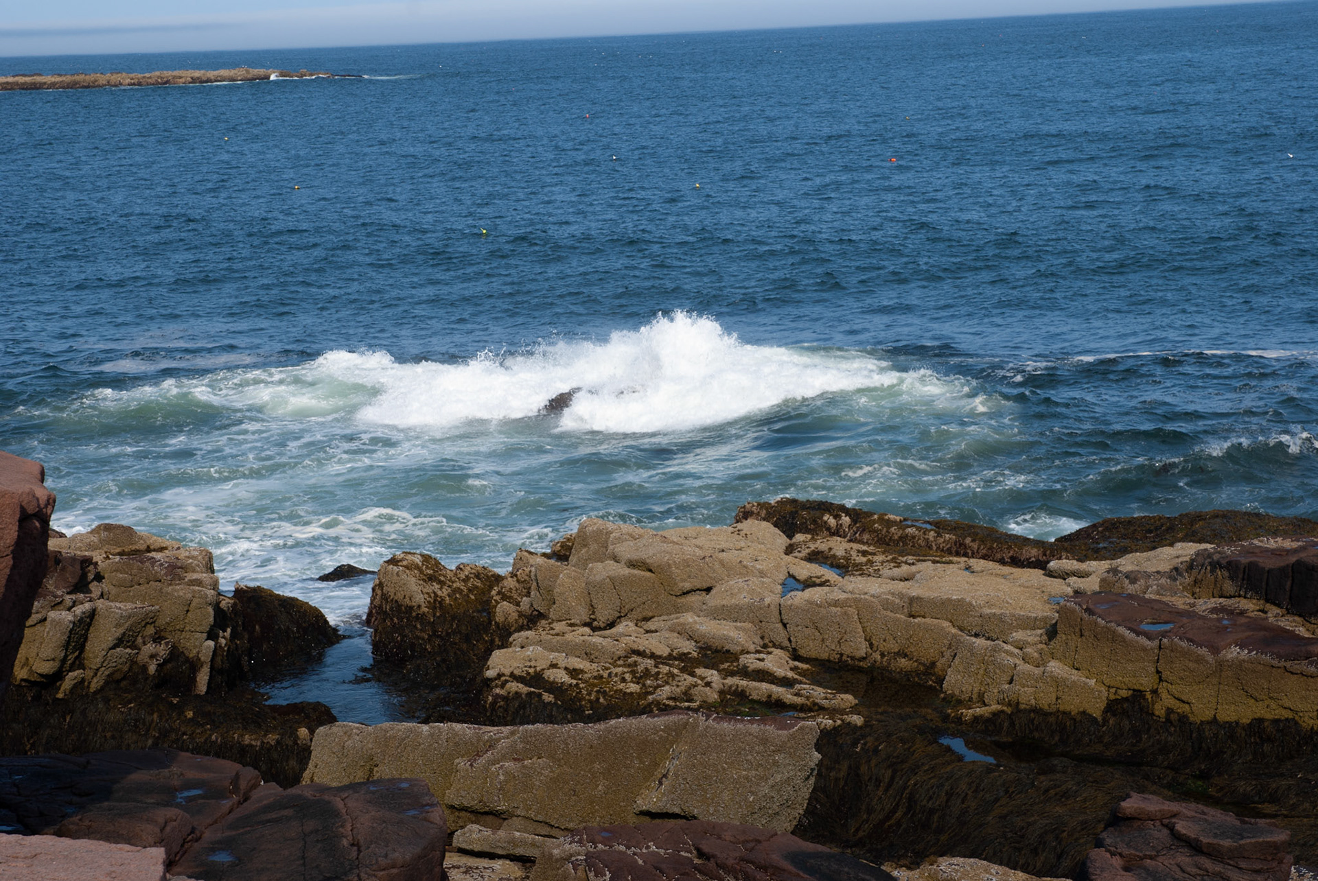 SONY DSC