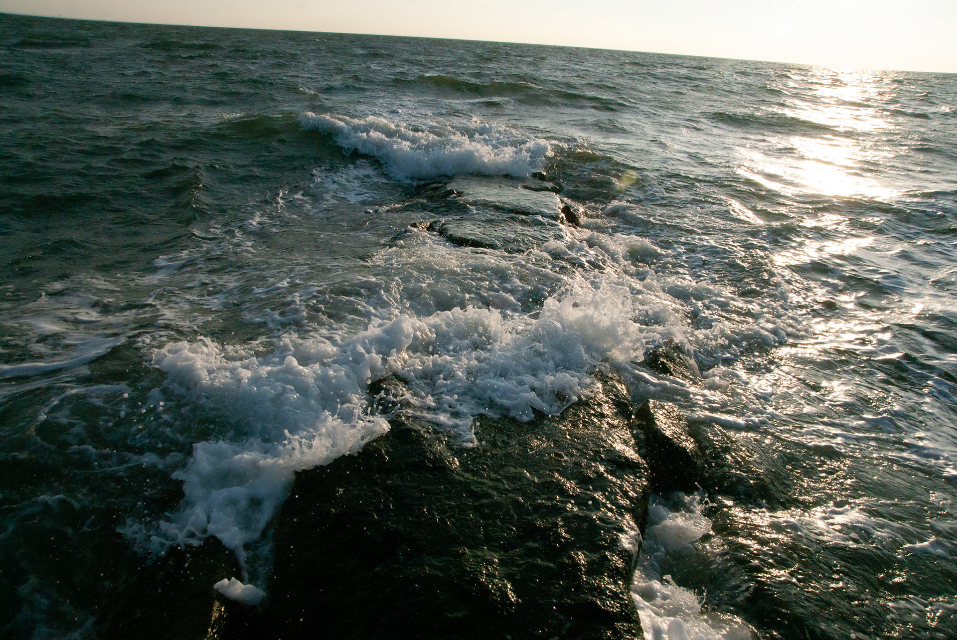 SONY DSC