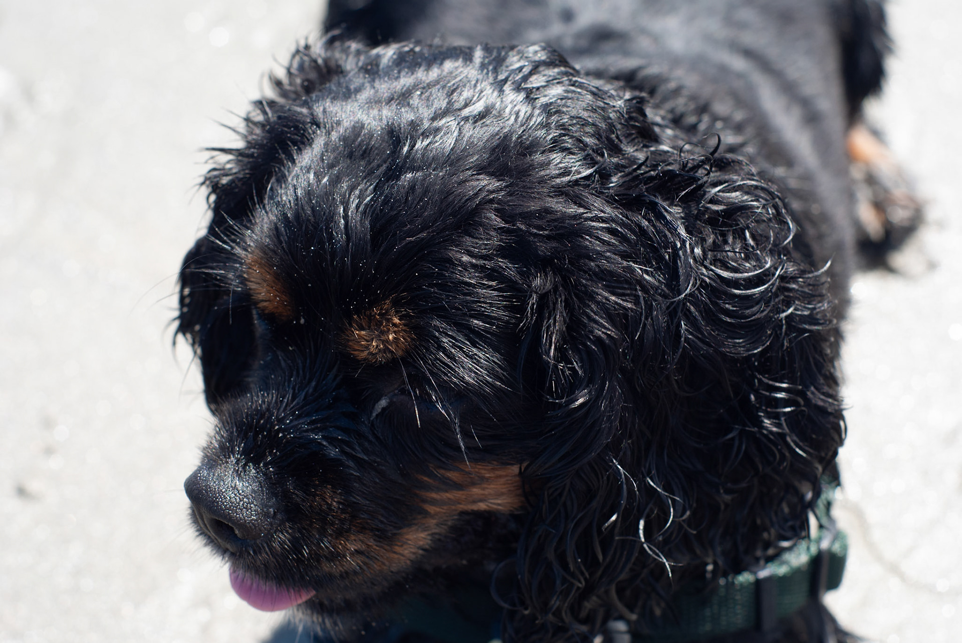 SONY DSC