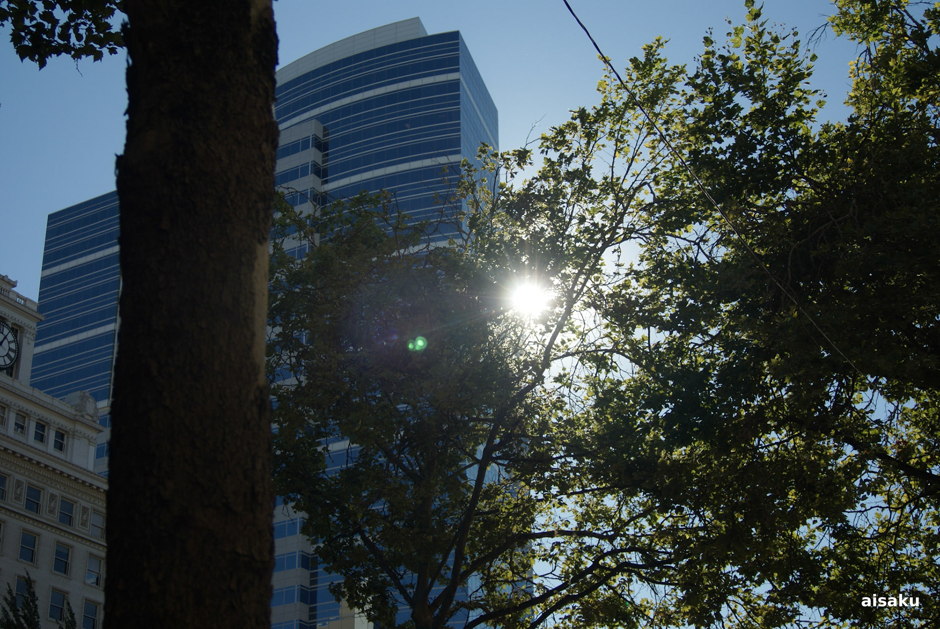 SONY DSC