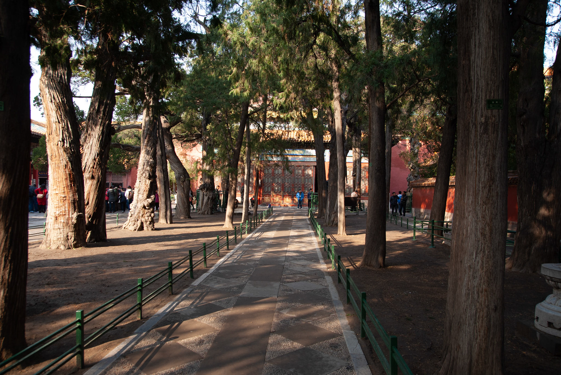 SONY DSC