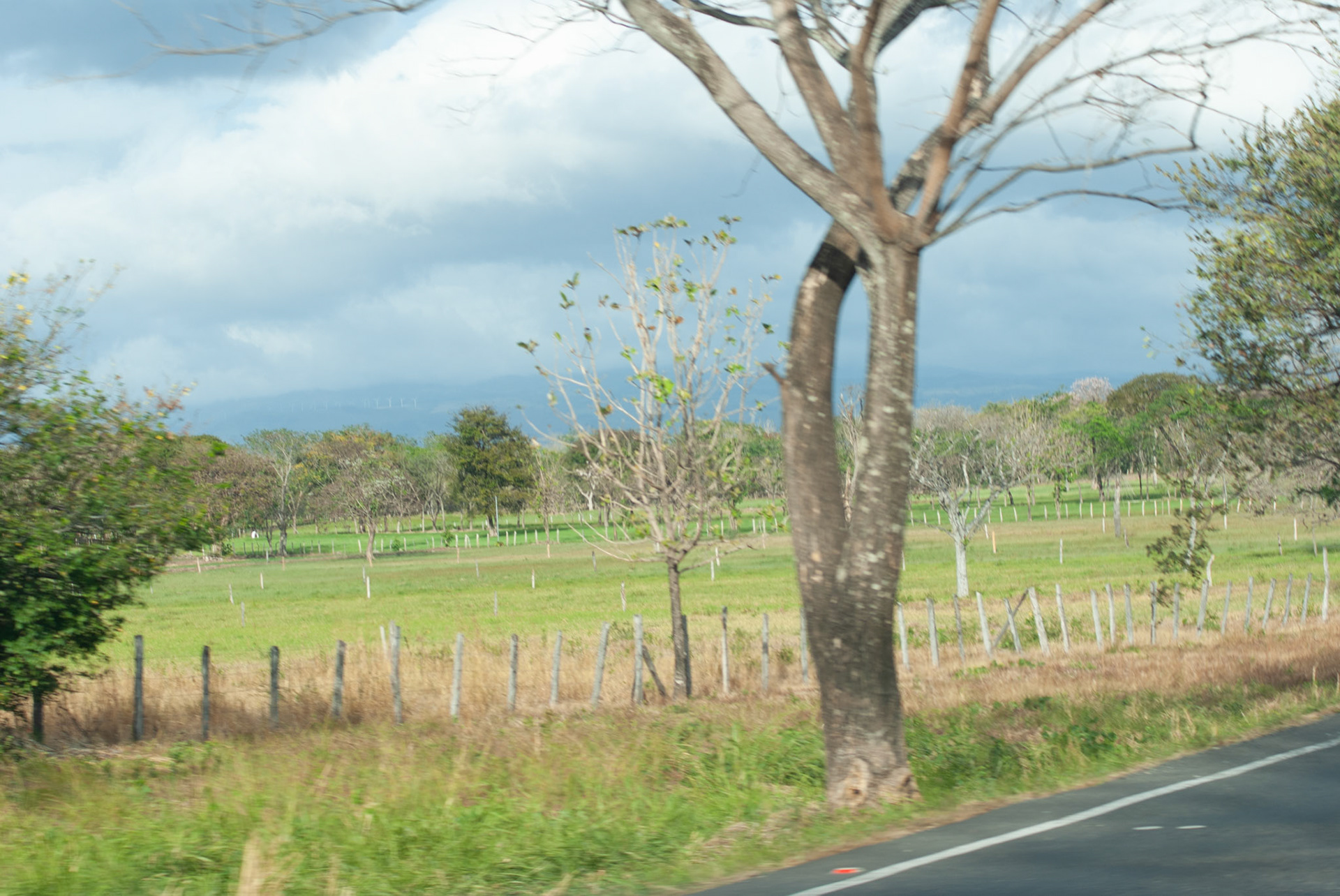 SONY DSC
