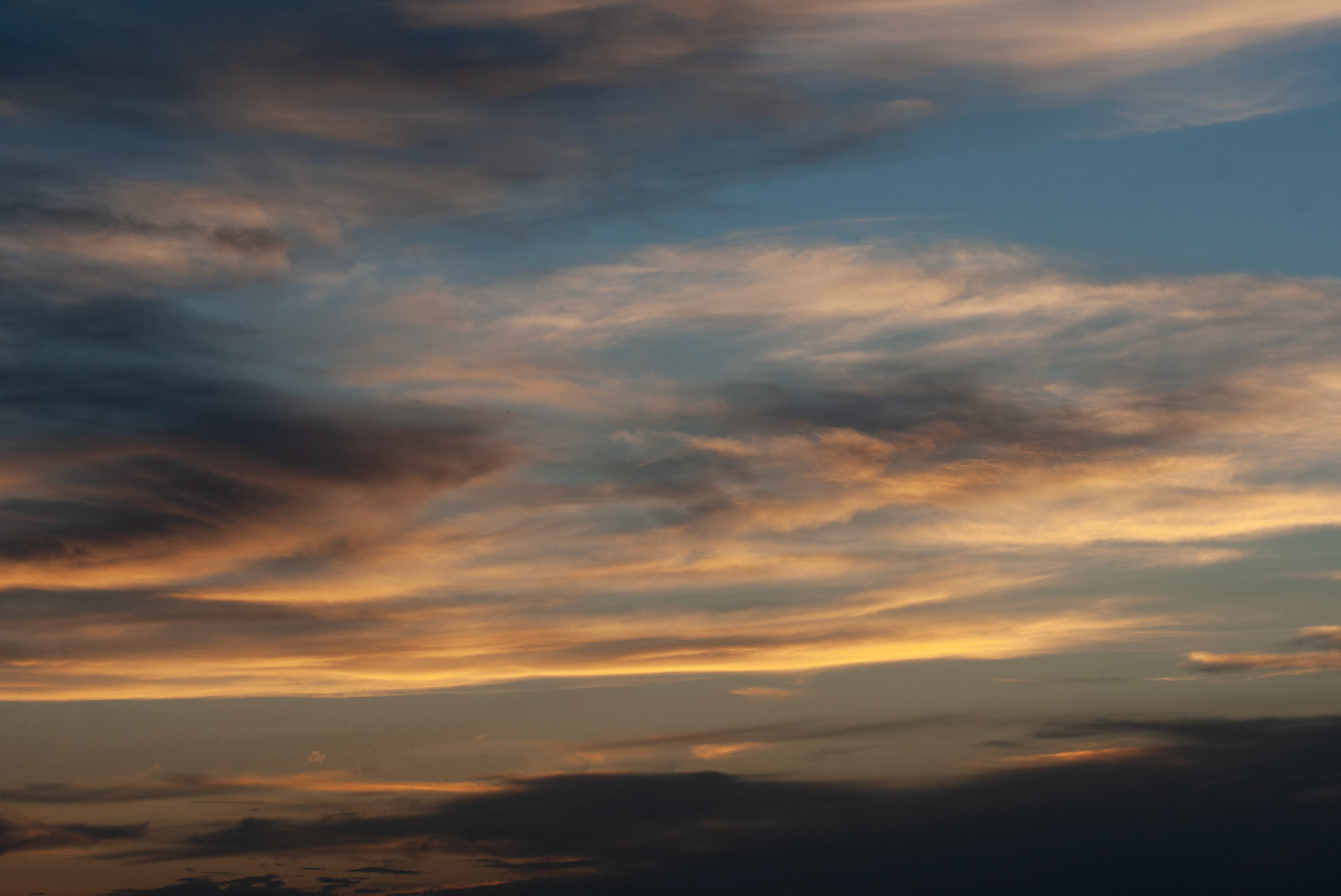 SONY DSC