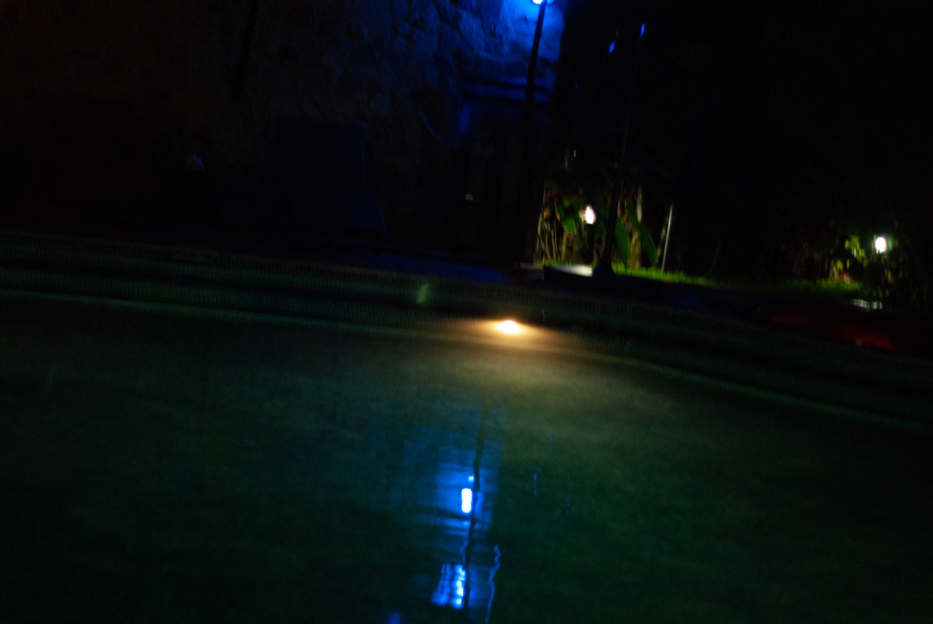 SONY DSC