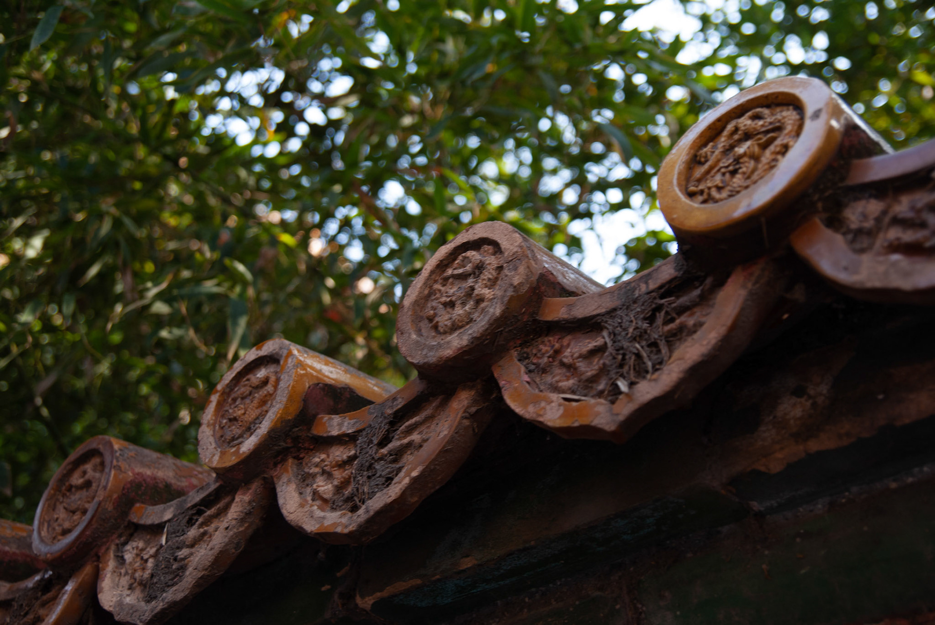 SONY DSC