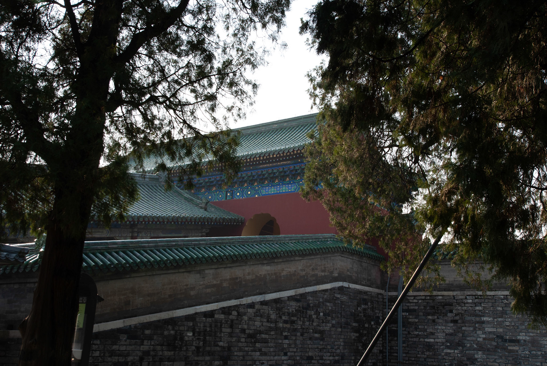 SONY DSC