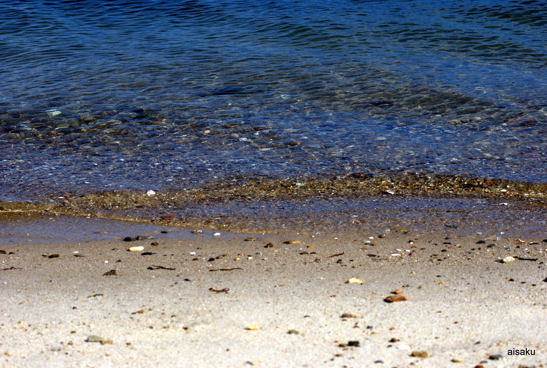 SONY DSC