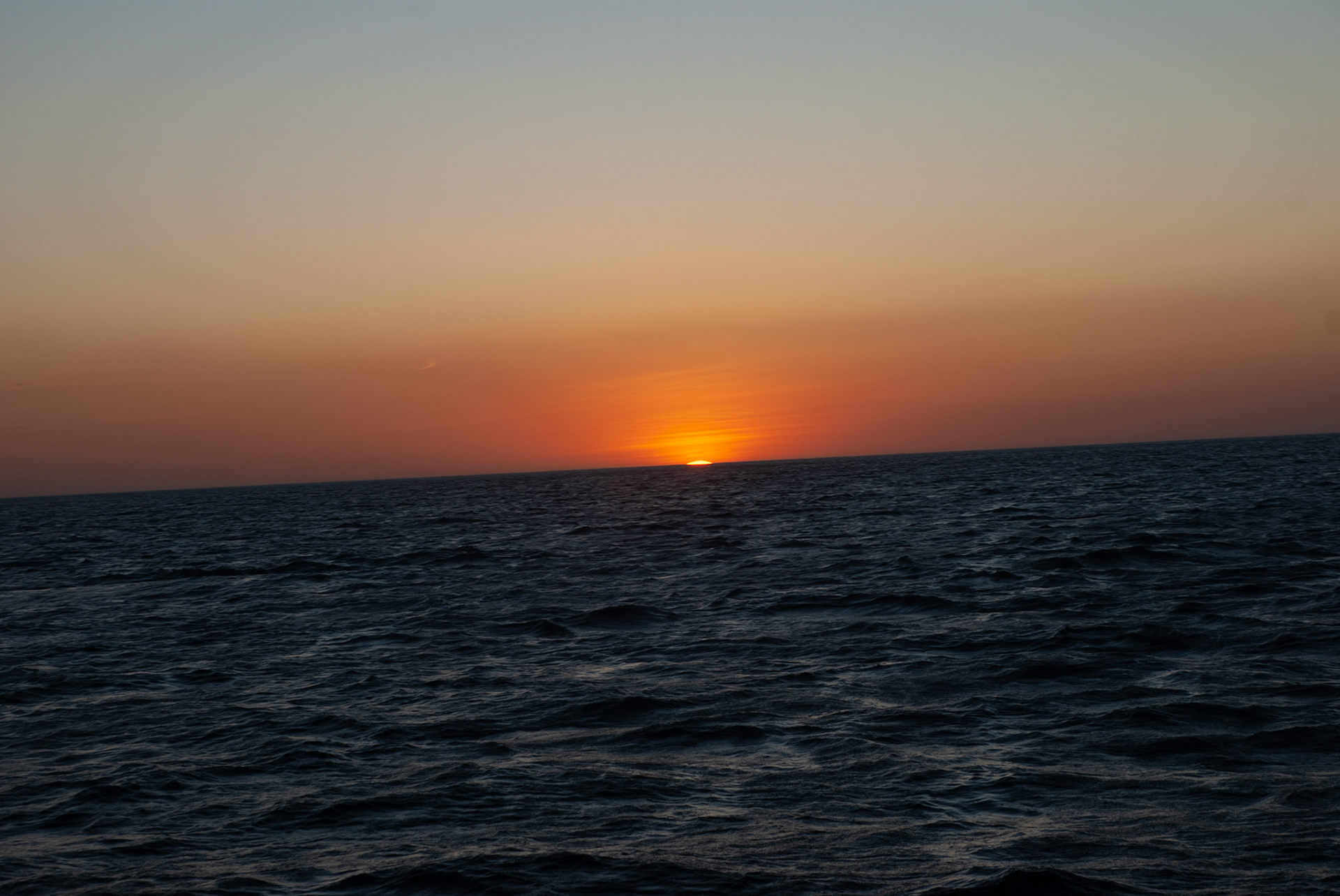 SONY DSC