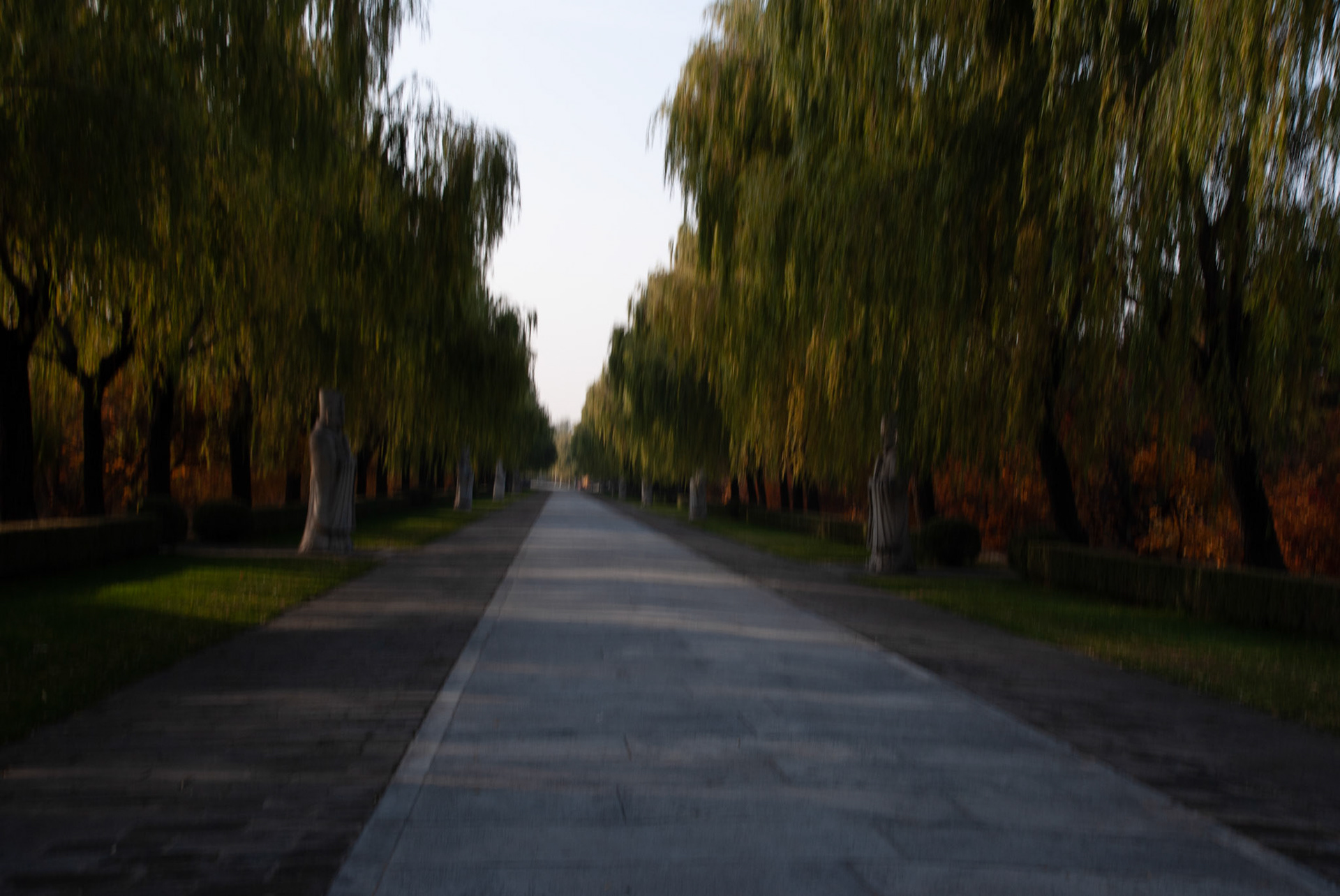 SONY DSC