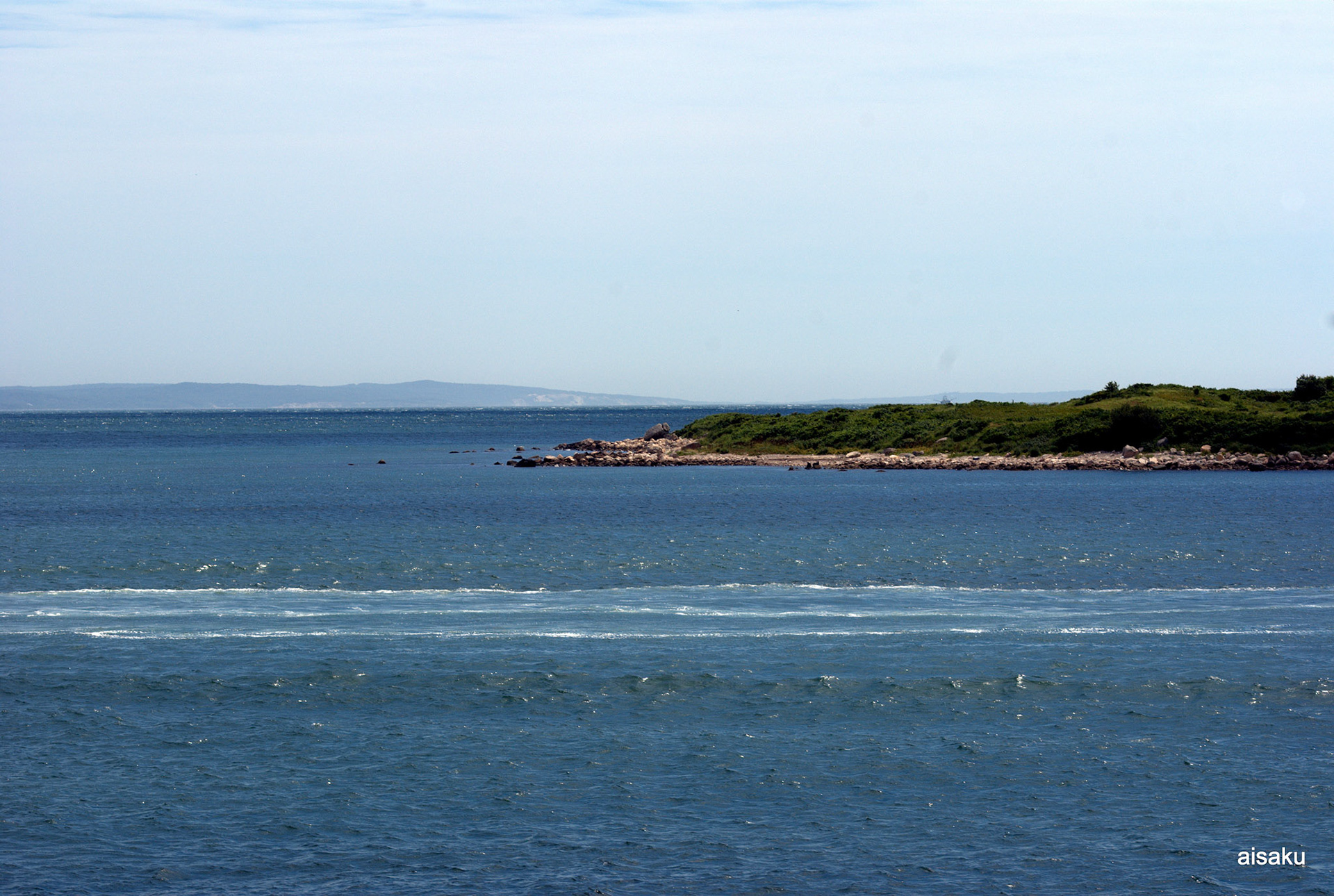 SONY DSC