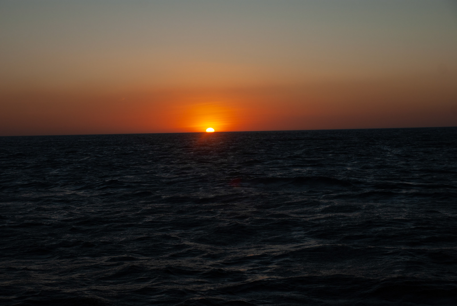 SONY DSC