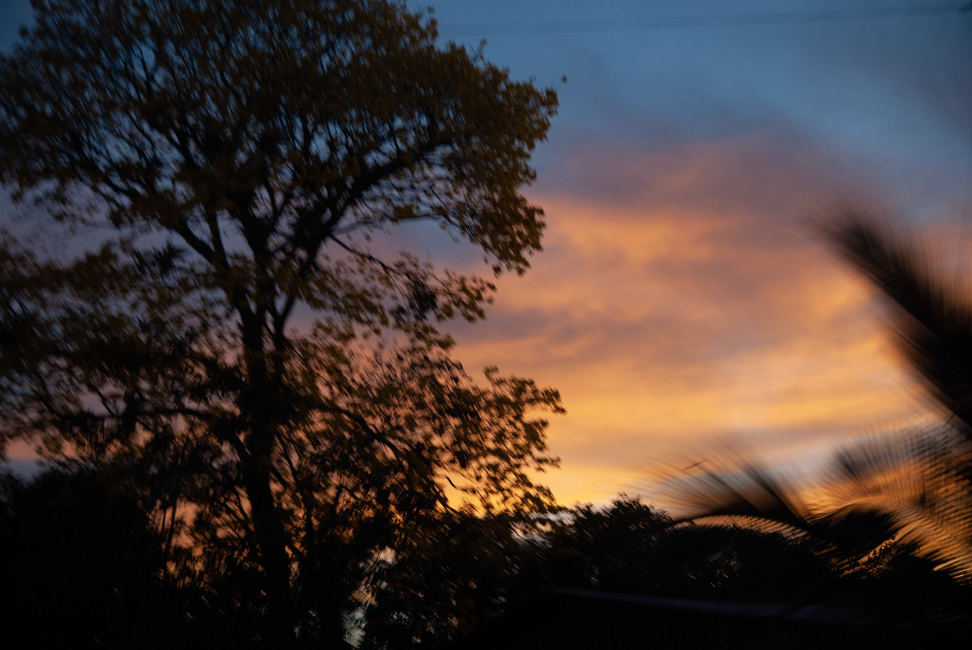 SONY DSC