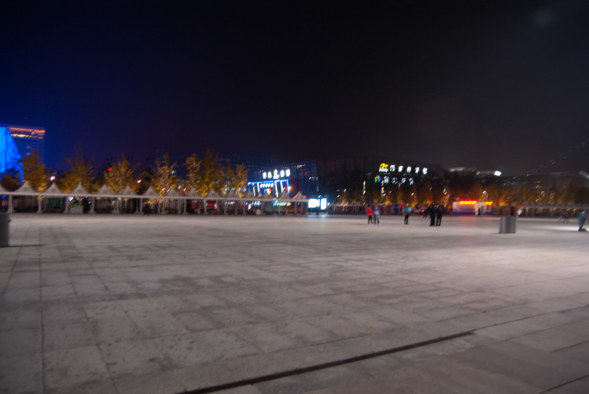 SONY DSC