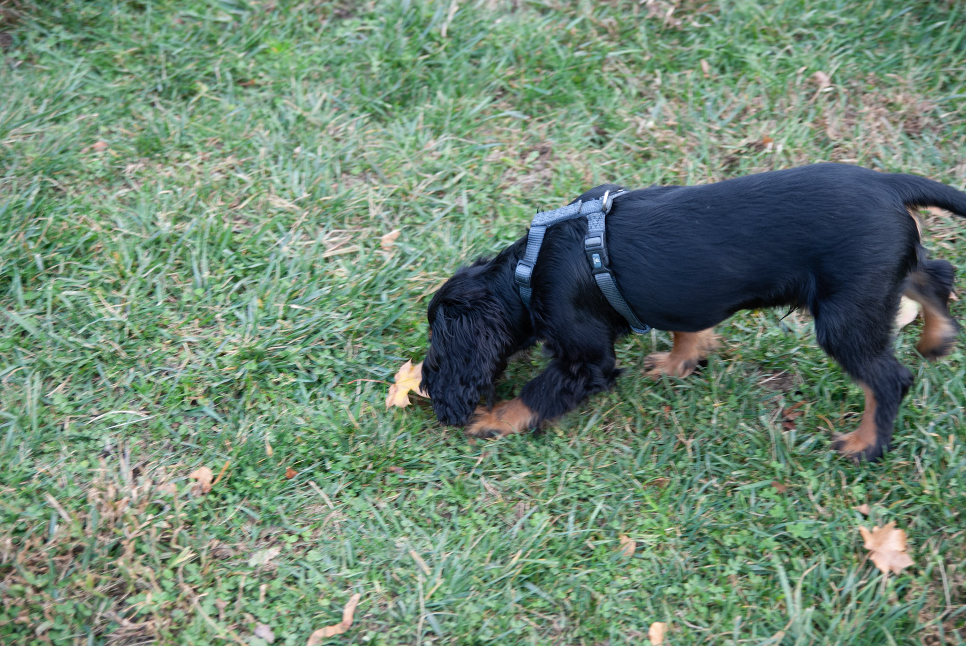 SONY DSC