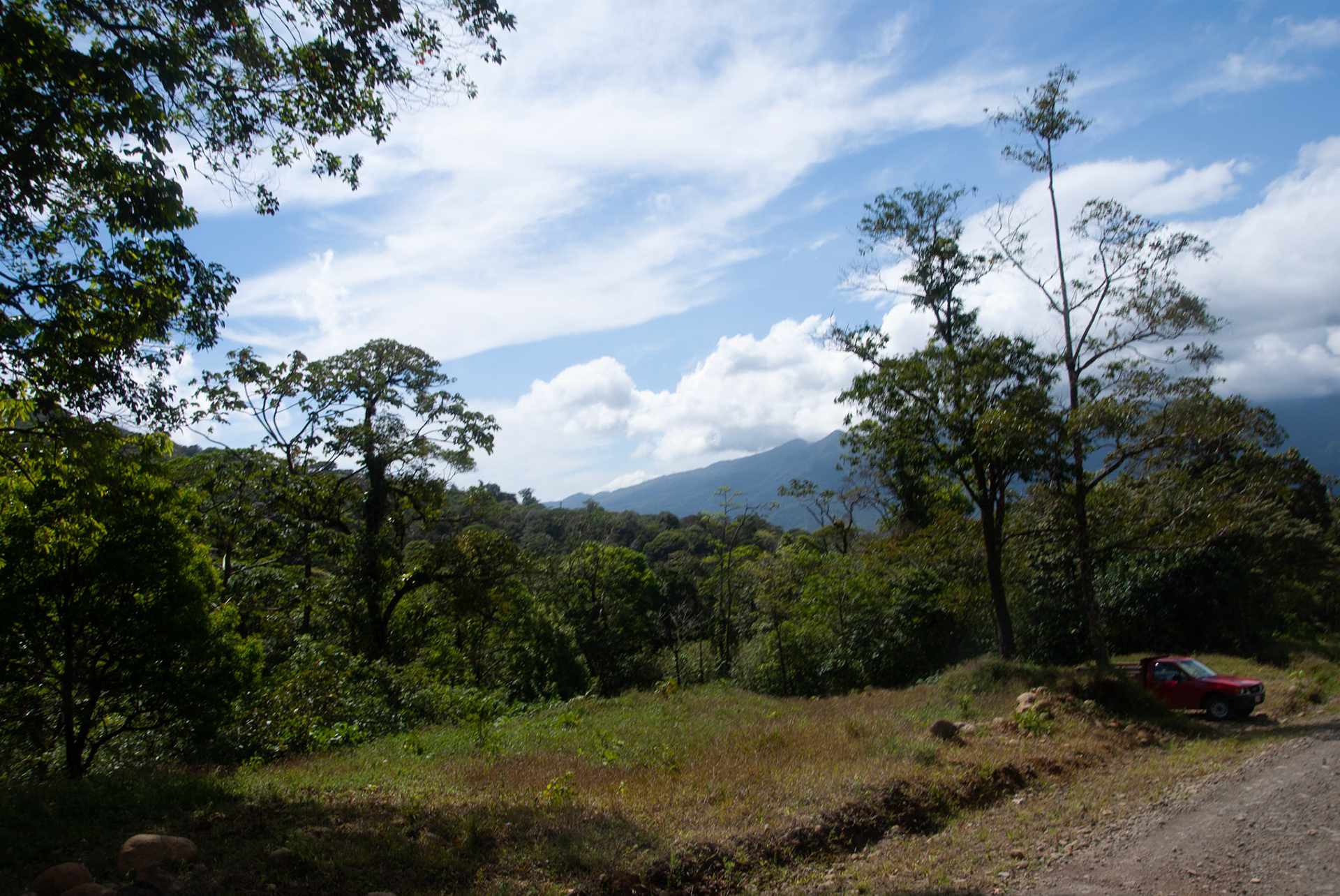 SONY DSC