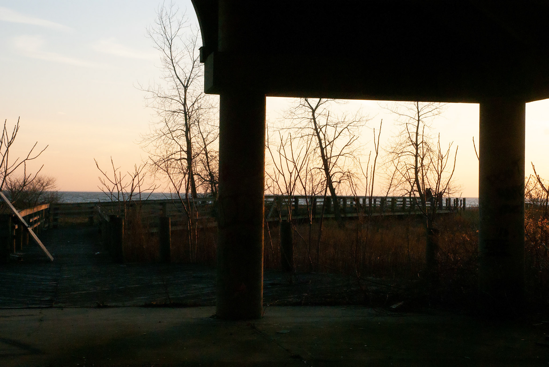SONY DSC