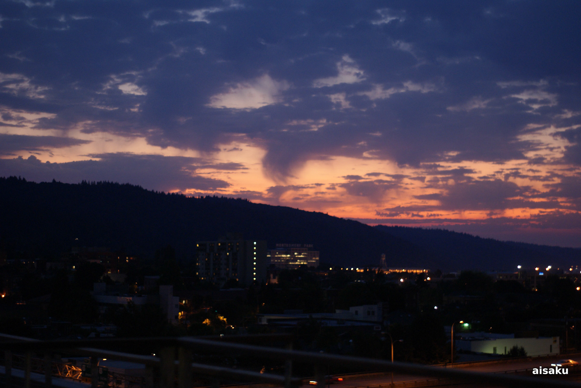 SONY DSC