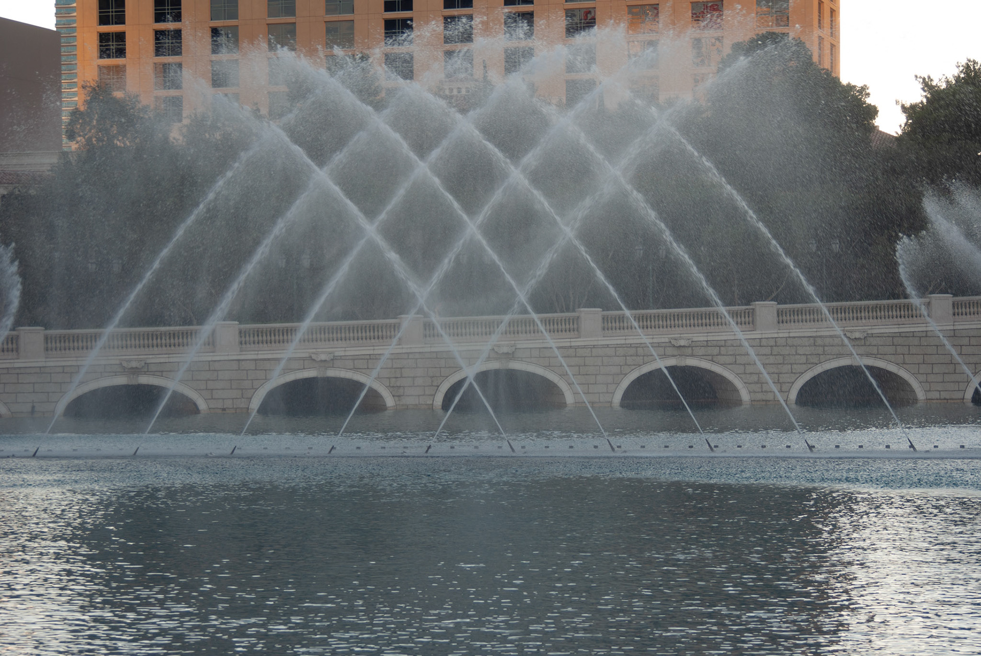 SONY DSC