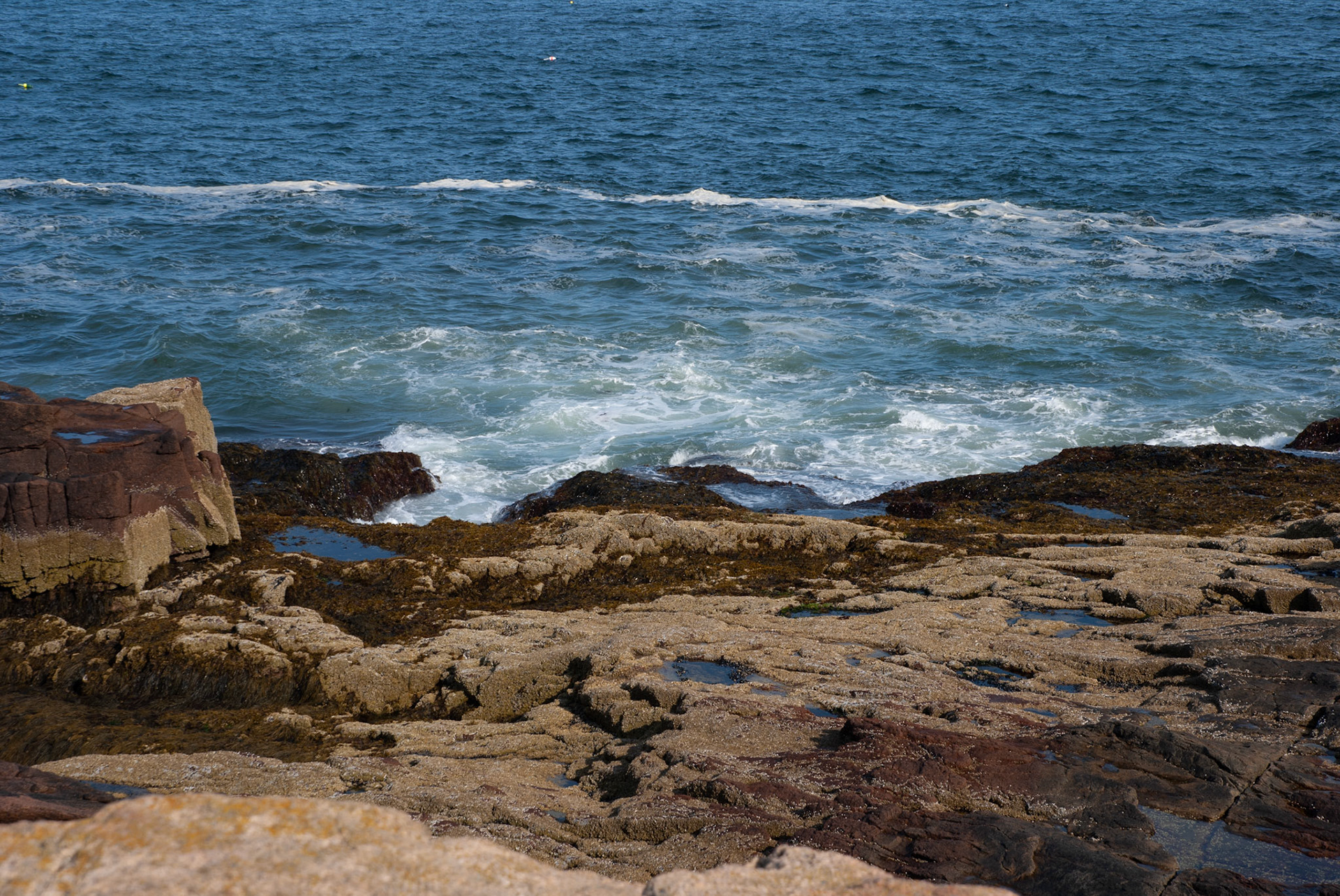 SONY DSC