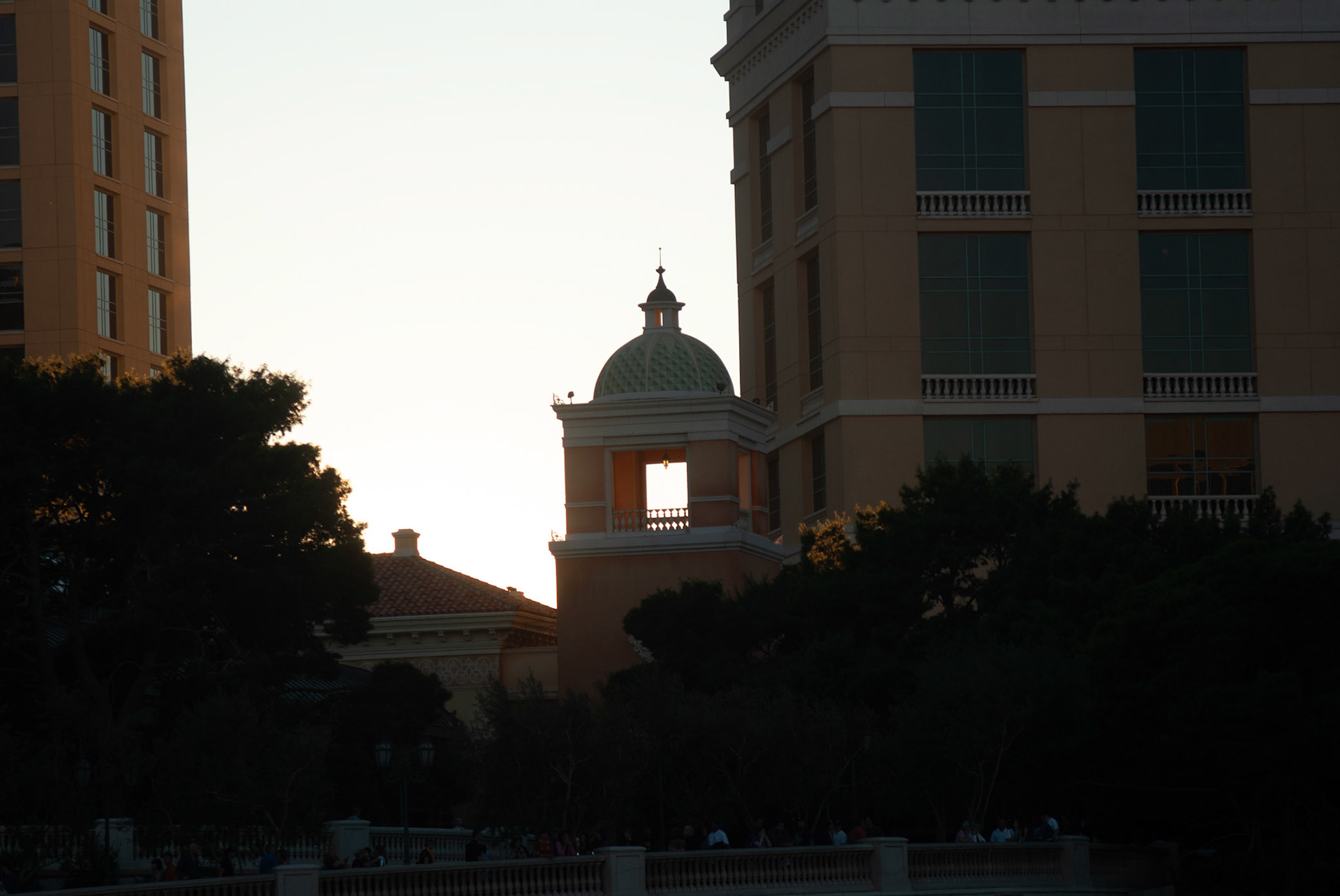 SONY DSC