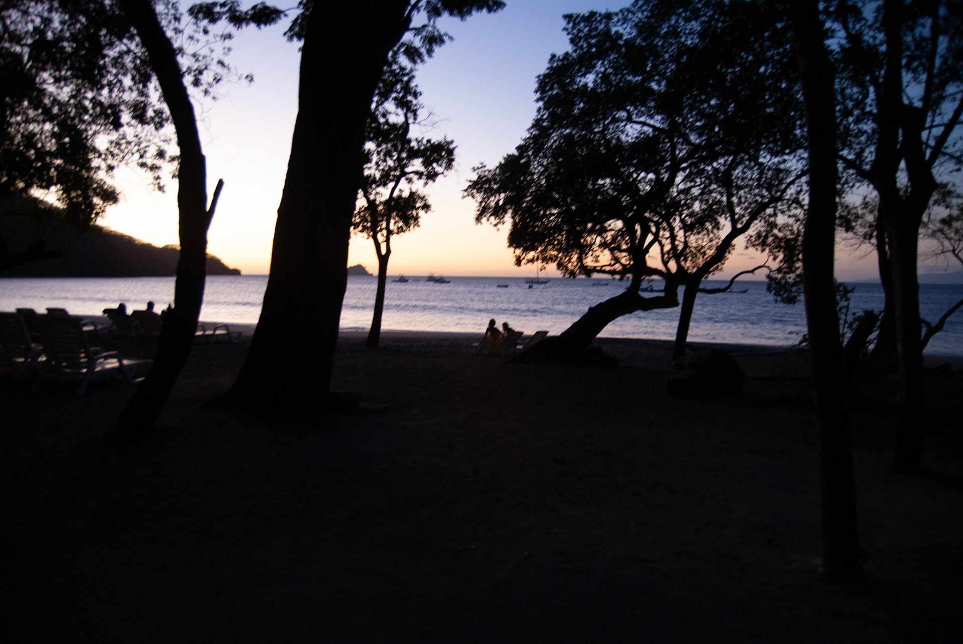 SONY DSC
