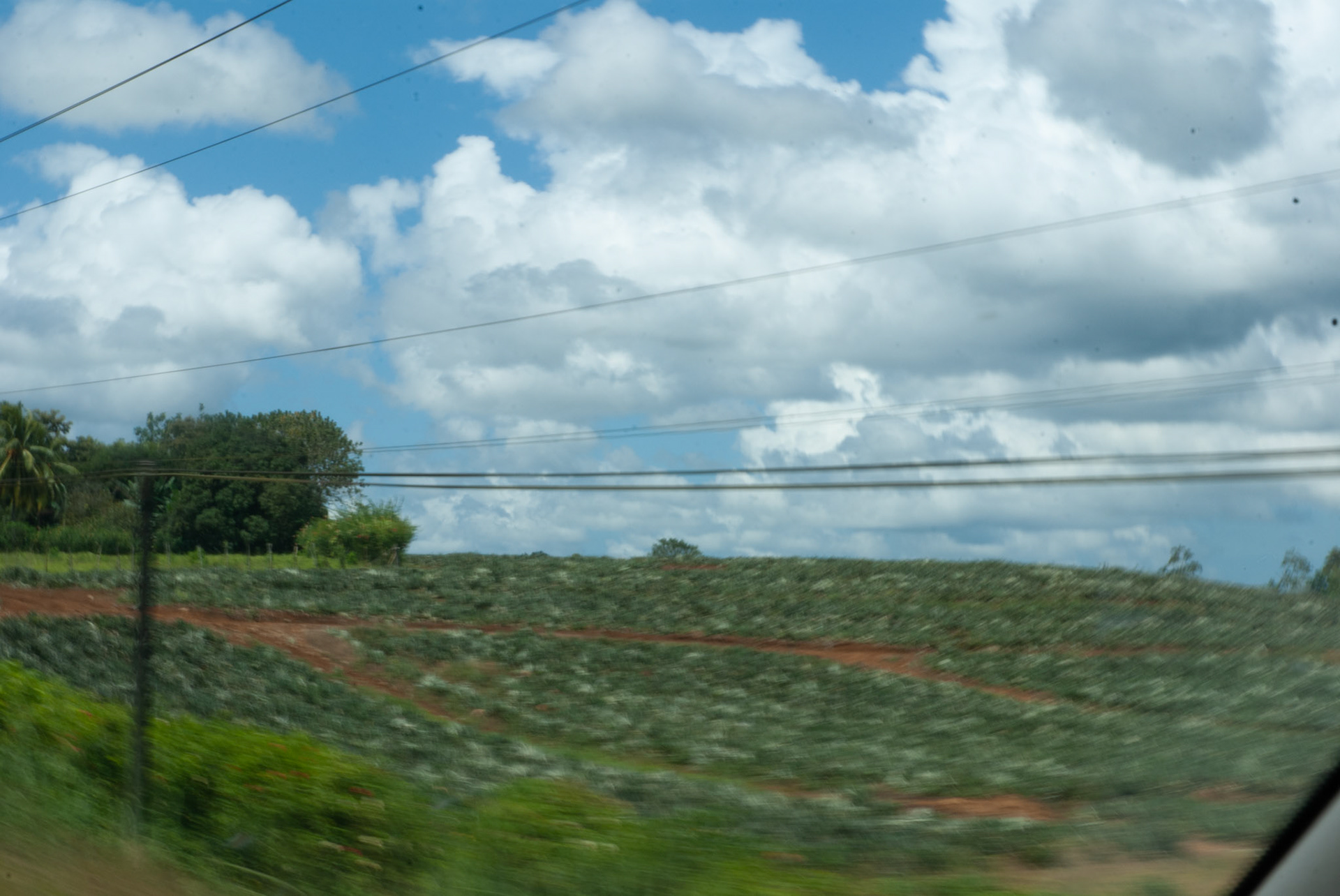 SONY DSC