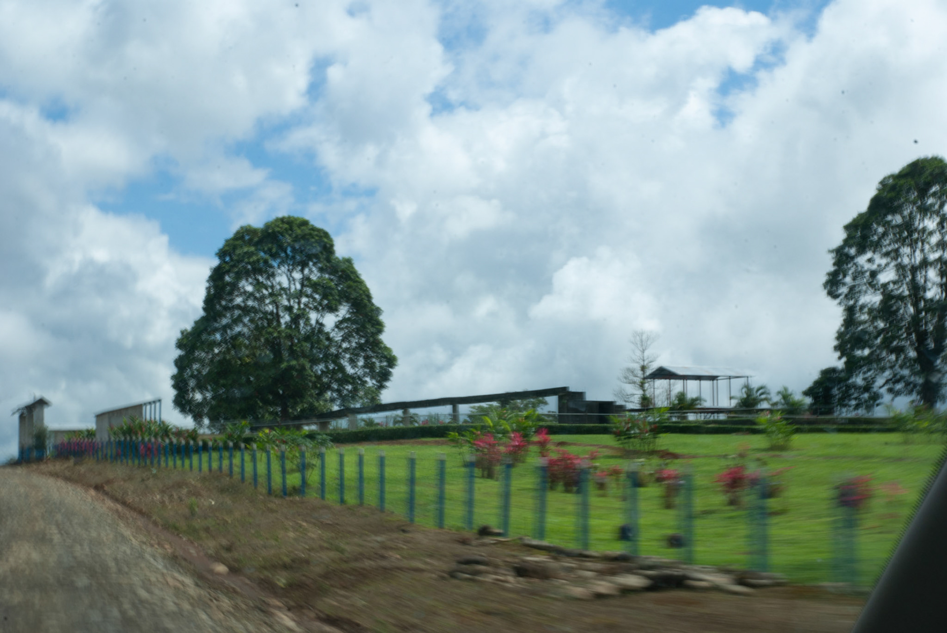 SONY DSC