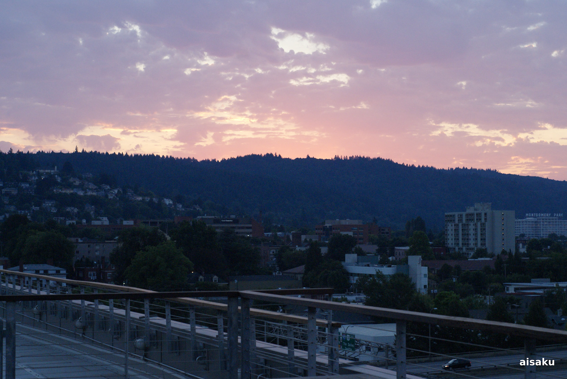 SONY DSC