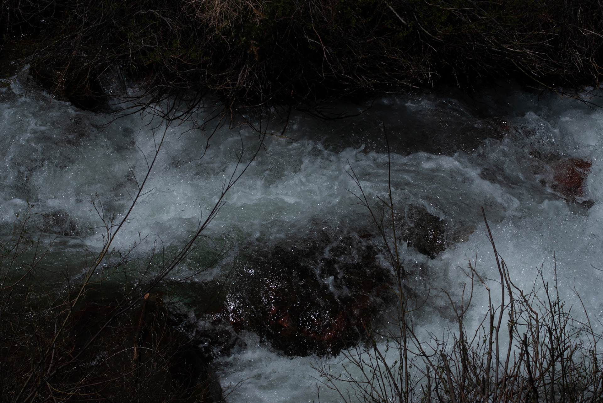 SONY DSC