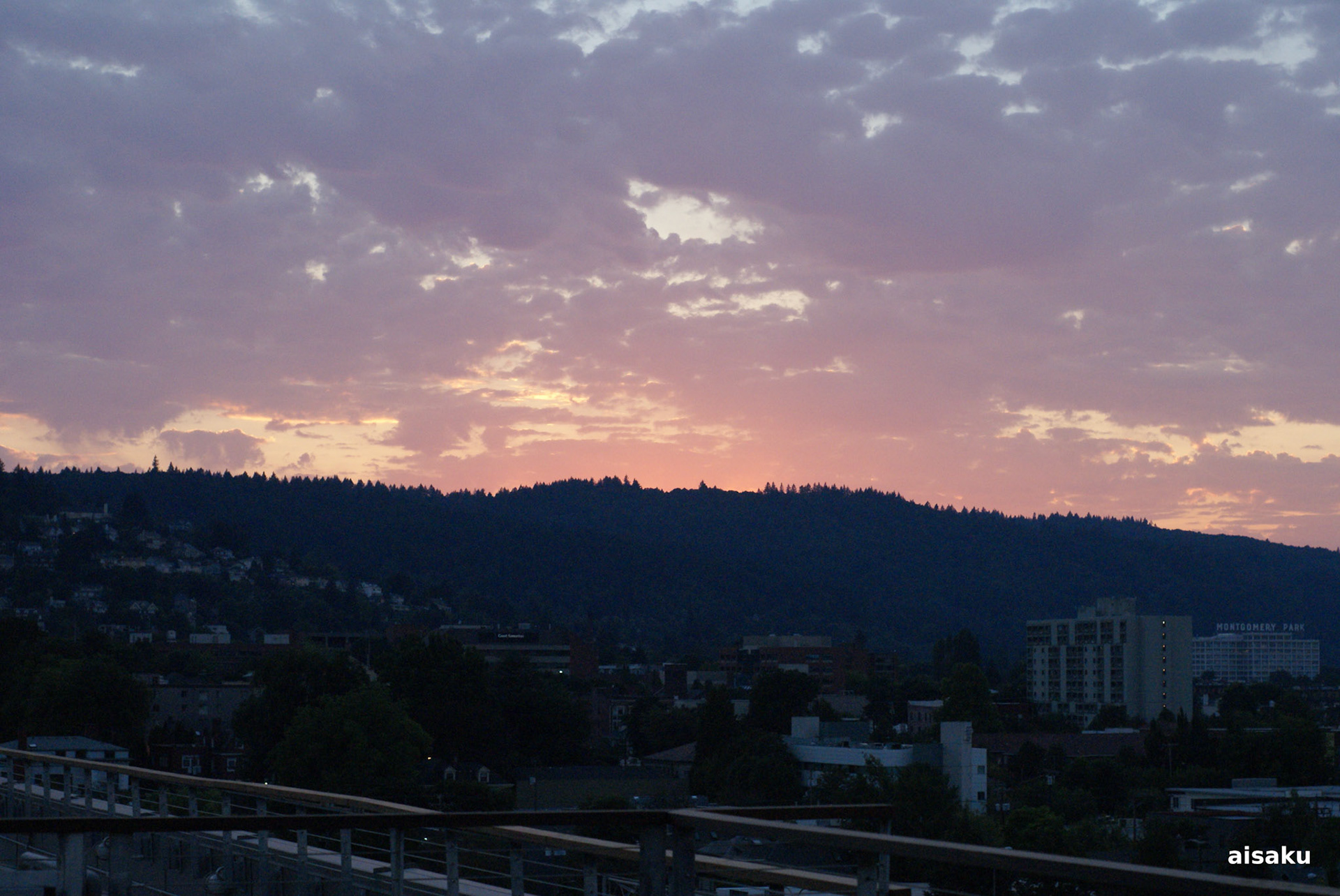 SONY DSC