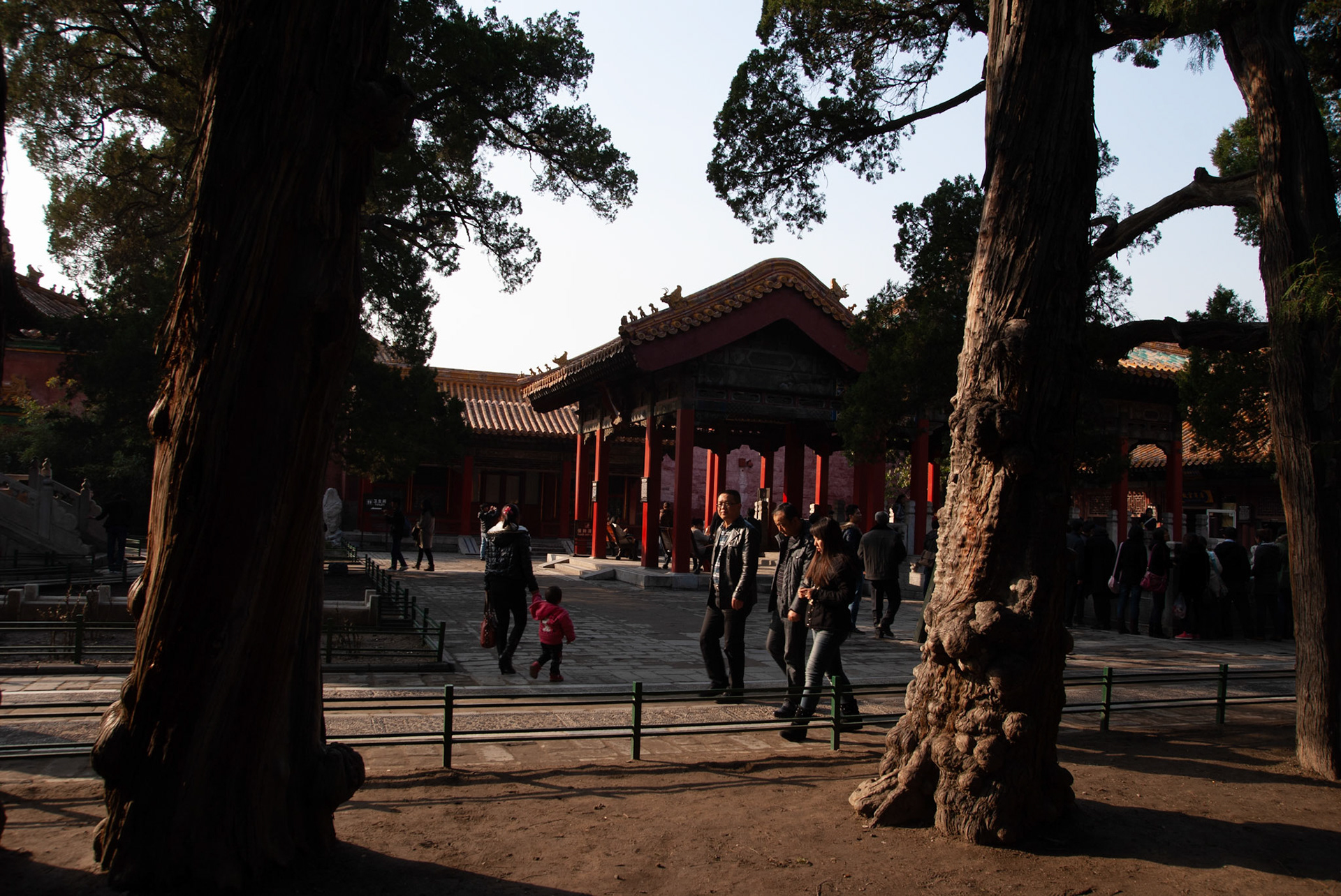 SONY DSC