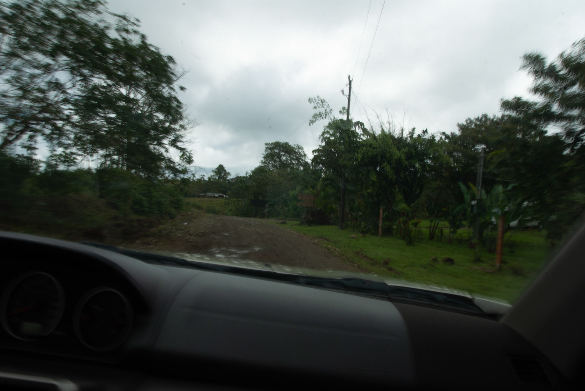 SONY DSC