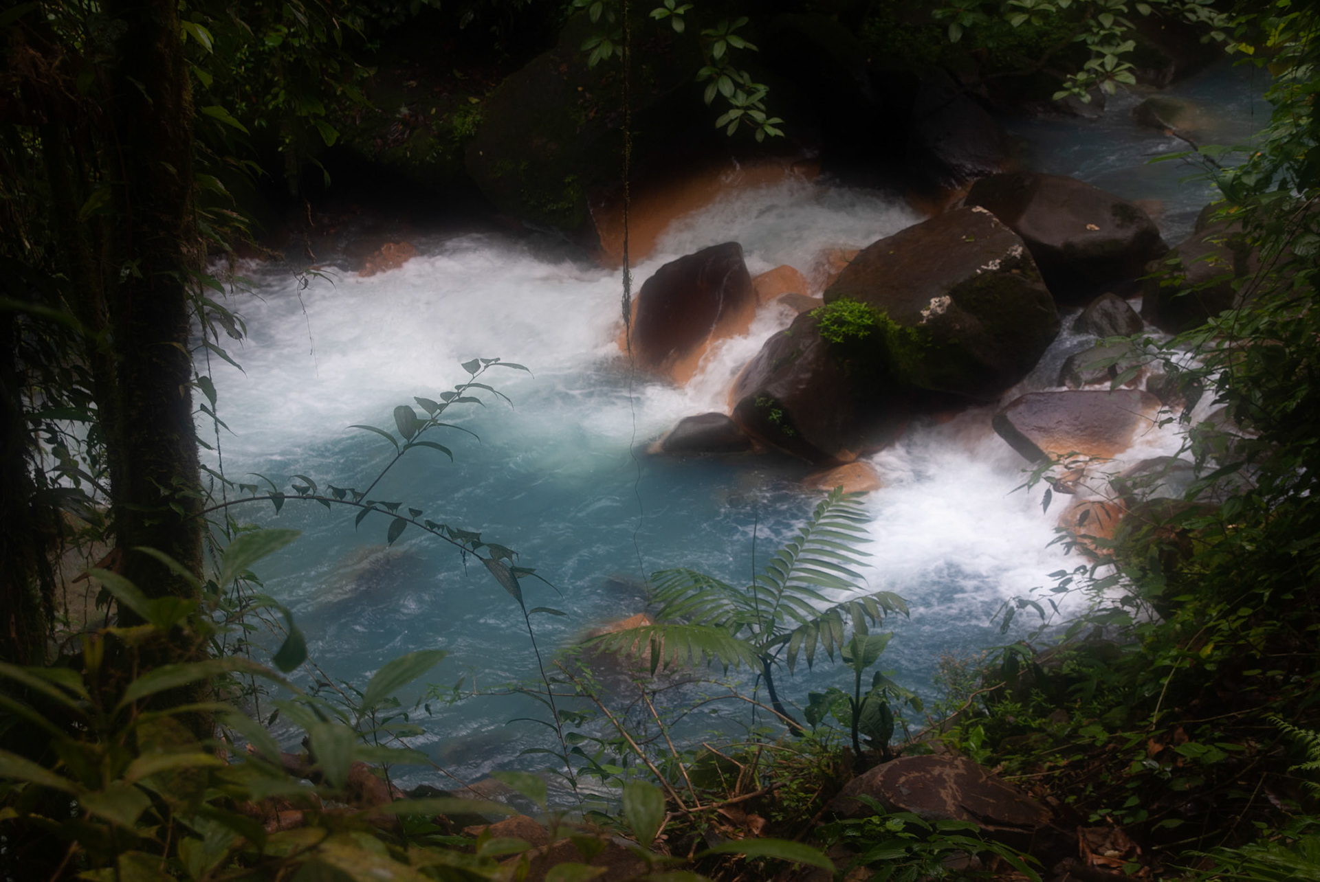 SONY DSC